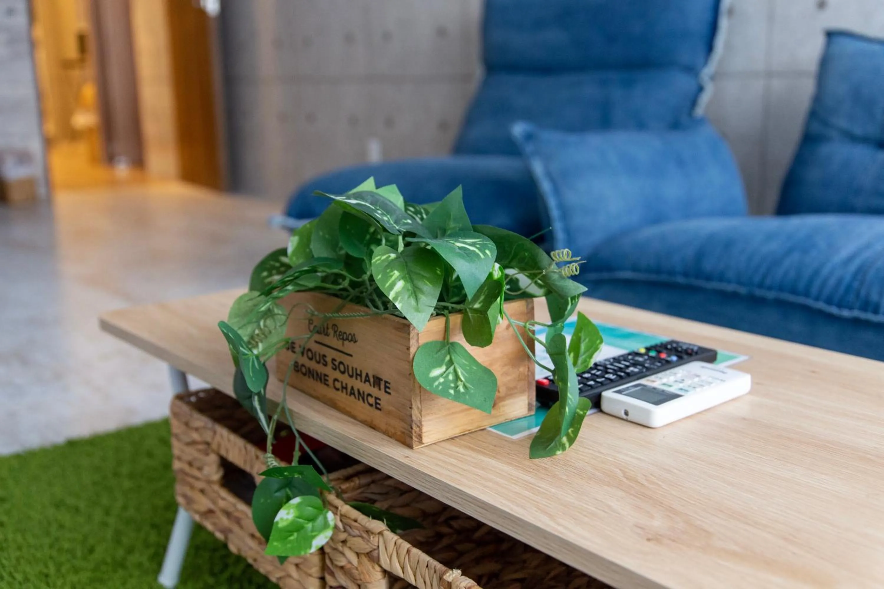 Guest House GORILLA!