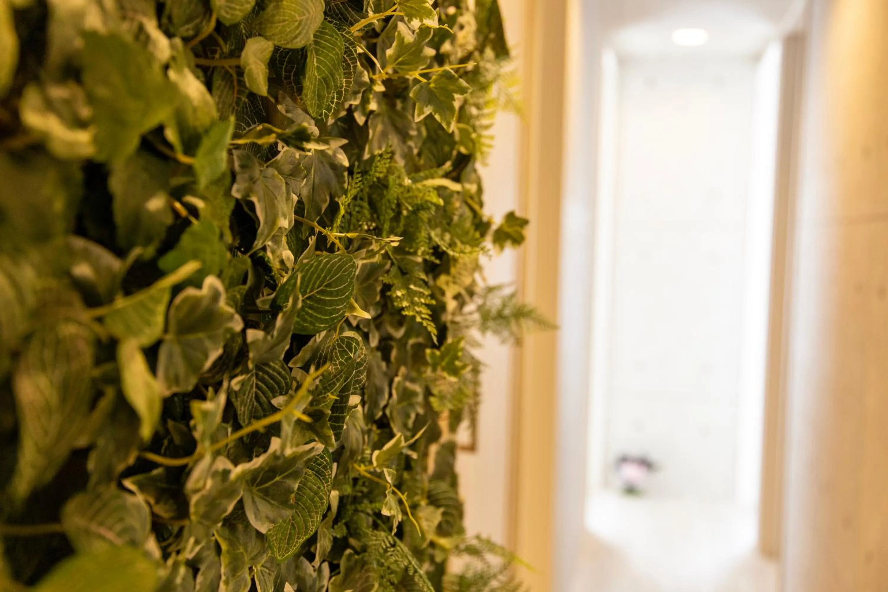 Guest House GORILLA!