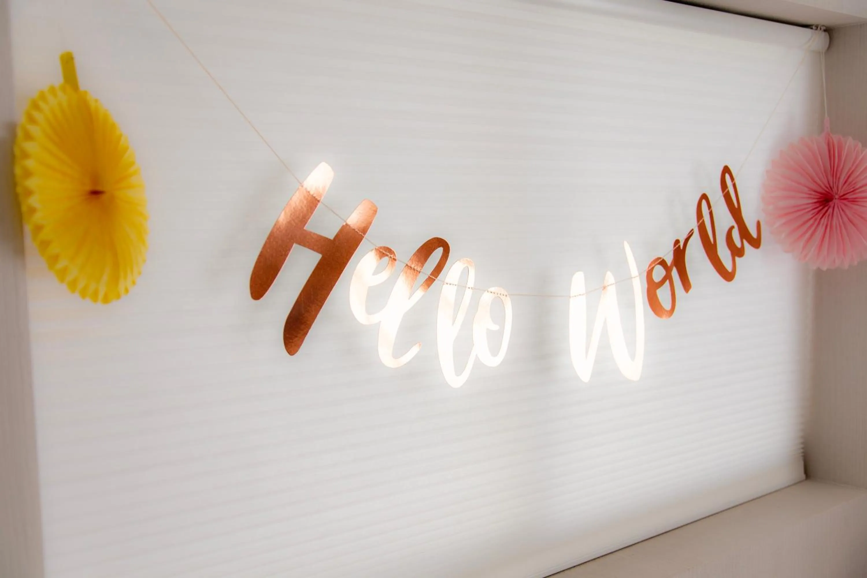 Guest House GORILLA!