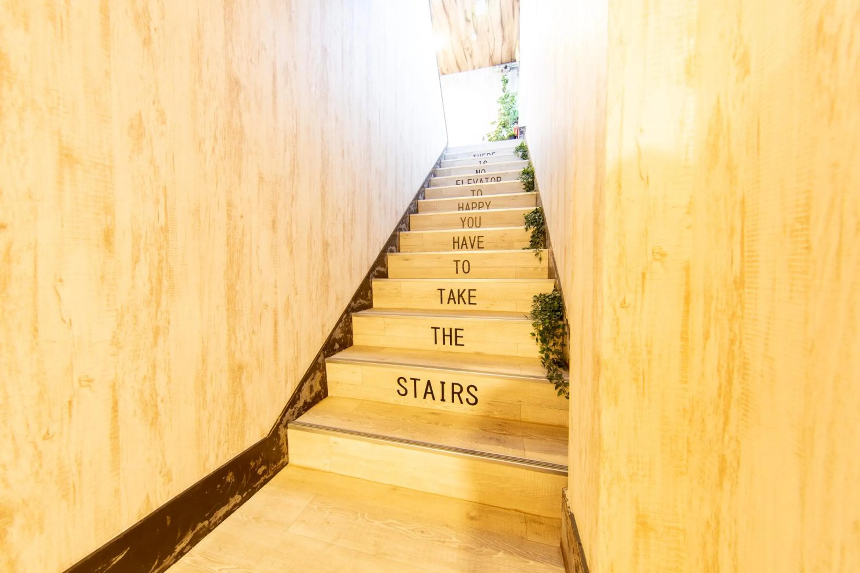 Guest House GORILLA!