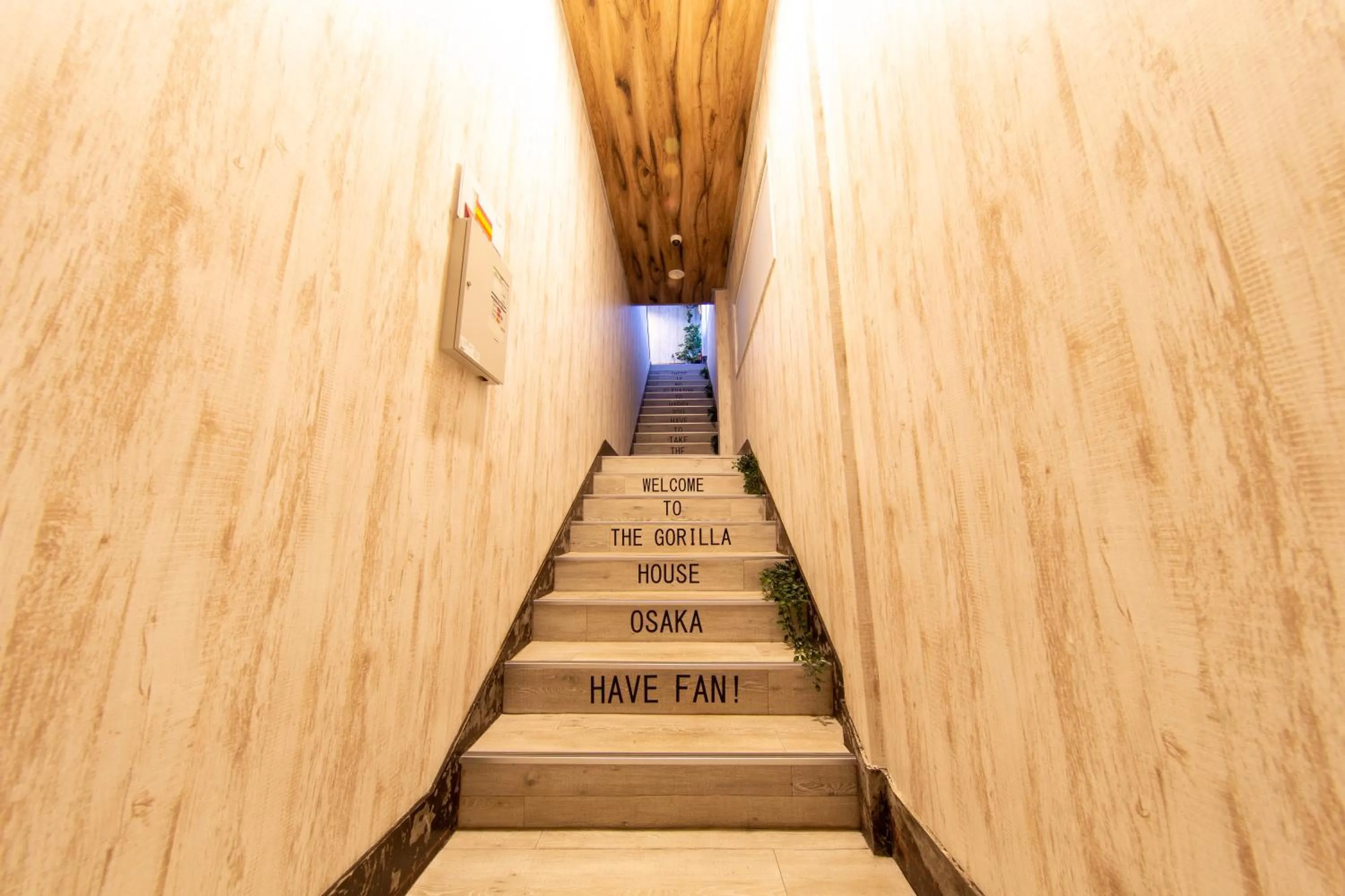 Guest House GORILLA!