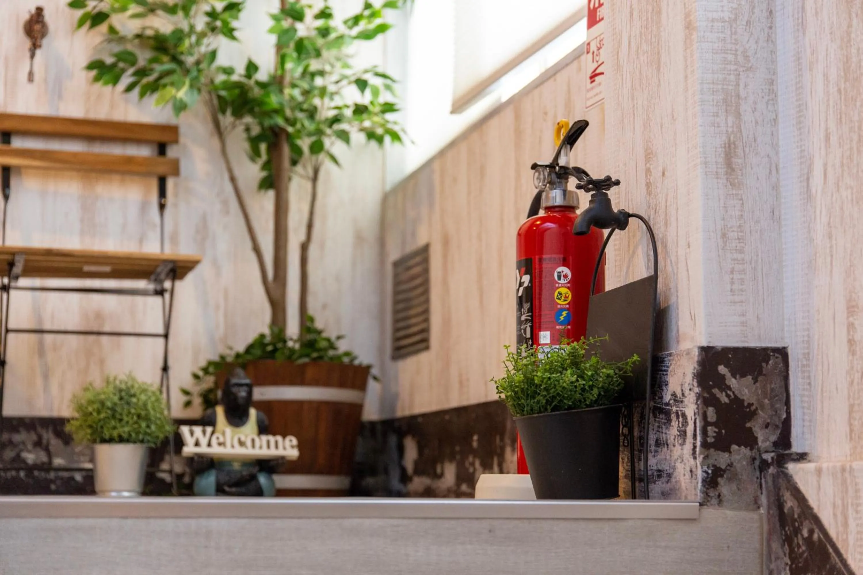 Guest House GORILLA!