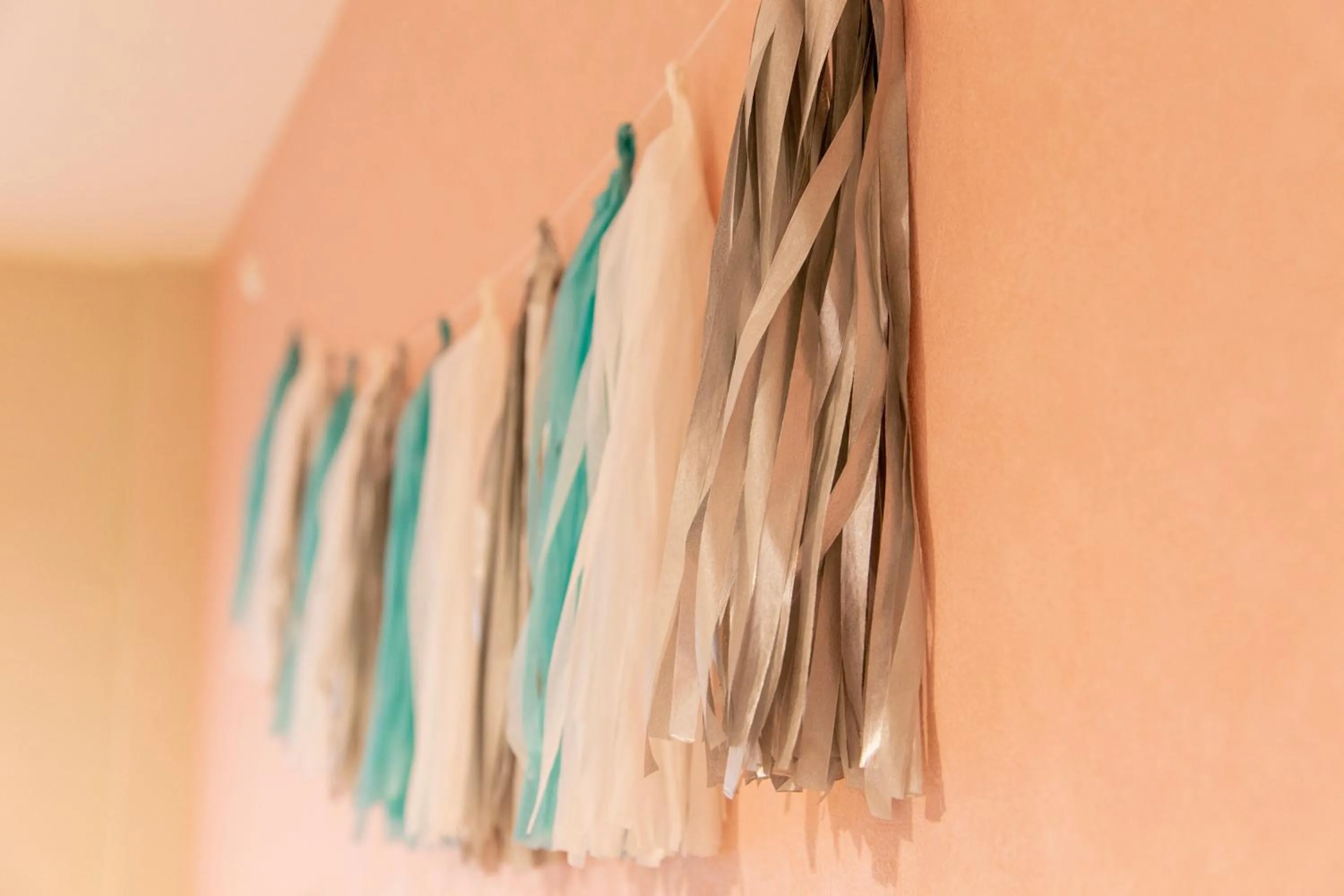 Guest House GORILLA!