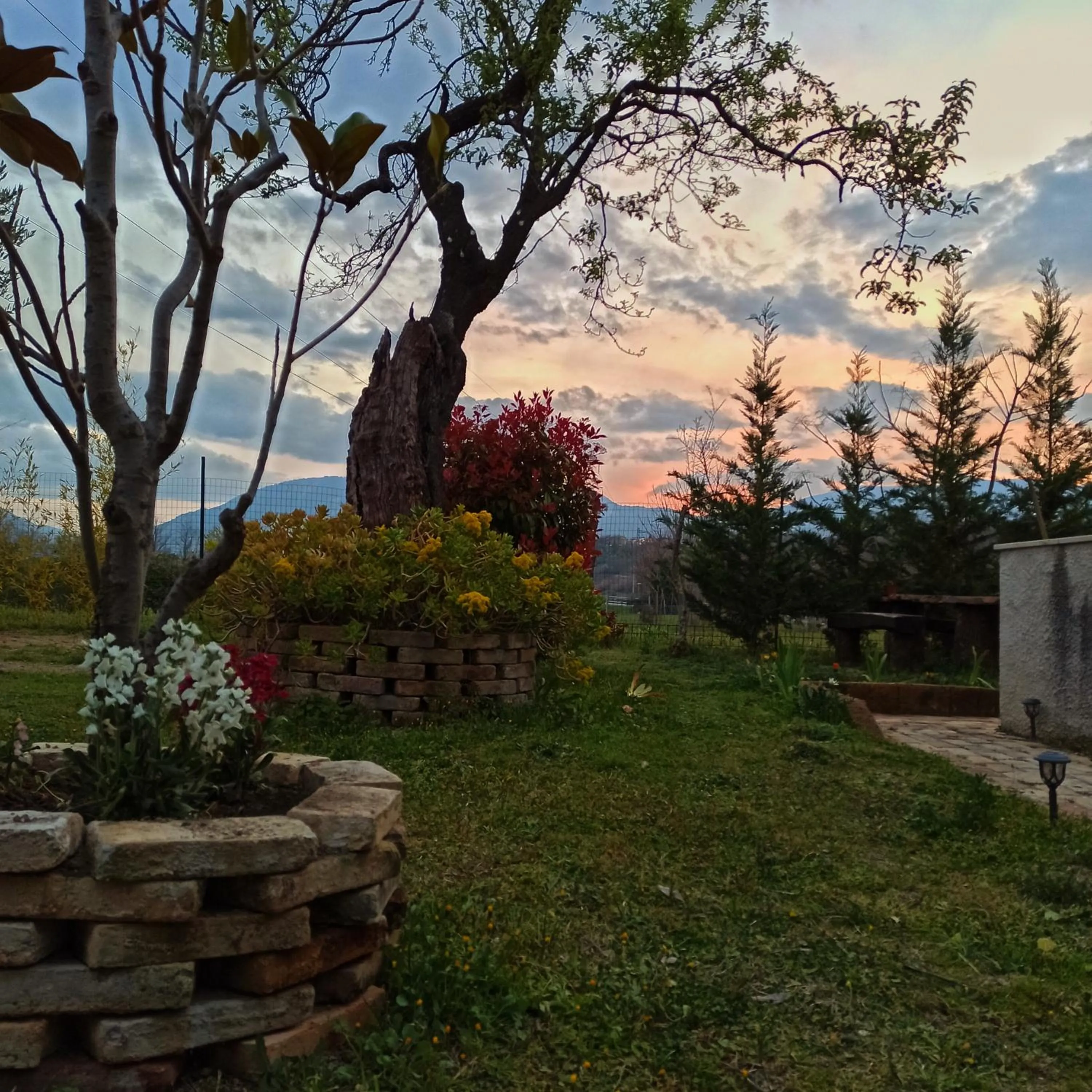 Garden in B&B La Masseria del '700