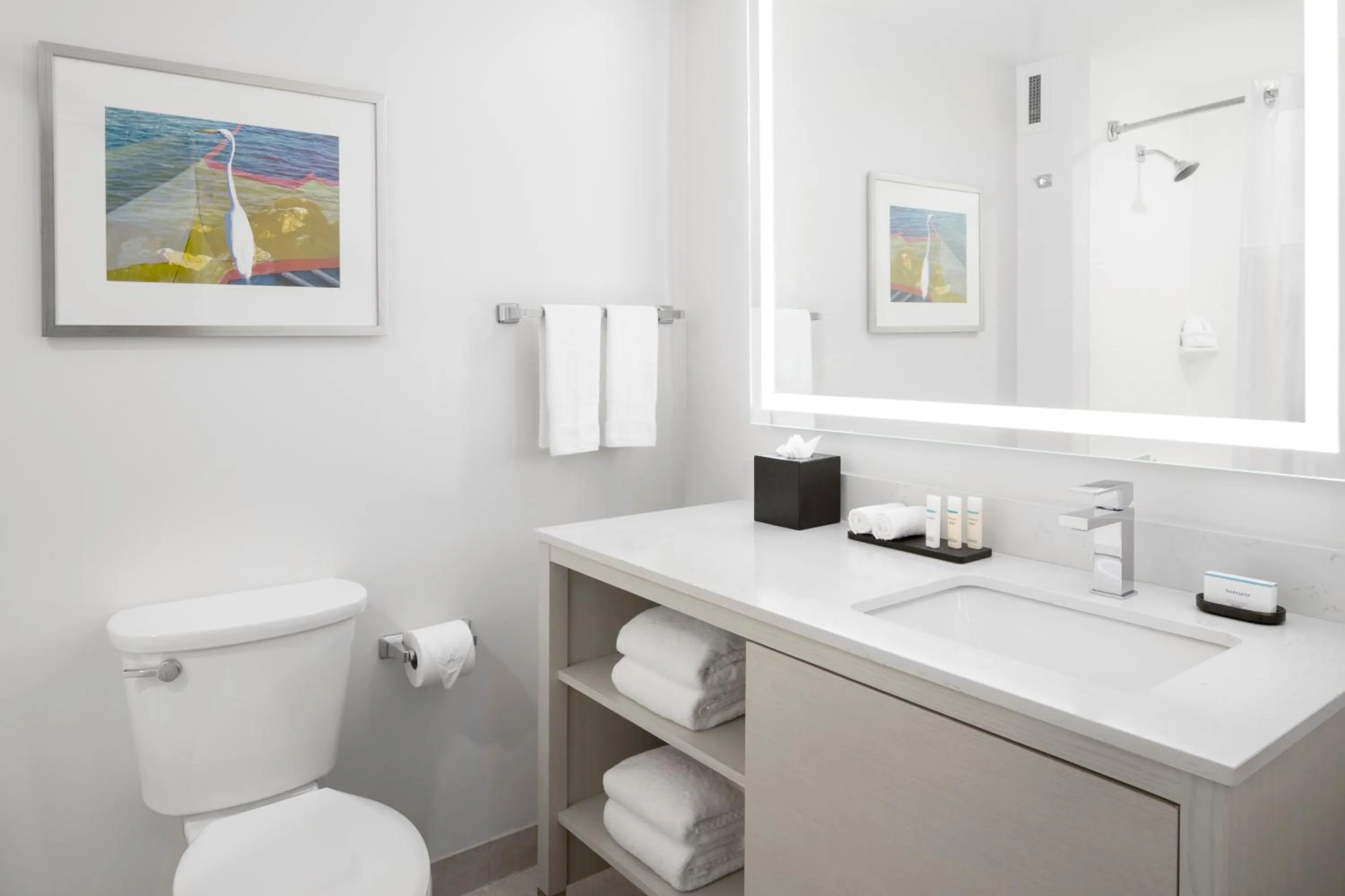 Toilet in Embassy Suites by Hilton Tampa Airport Westshore