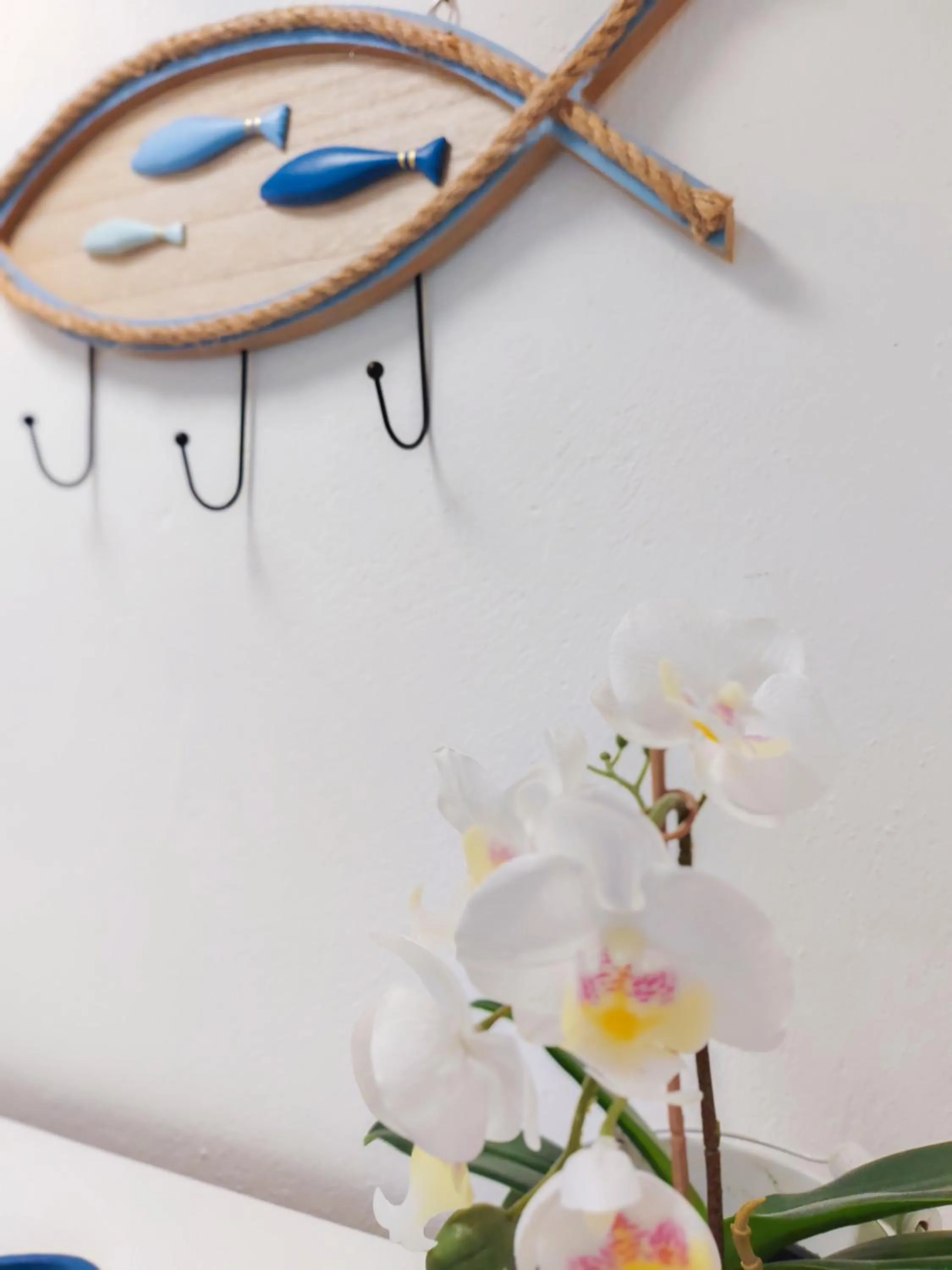 Carpe Diem B&B e Case Vacanza