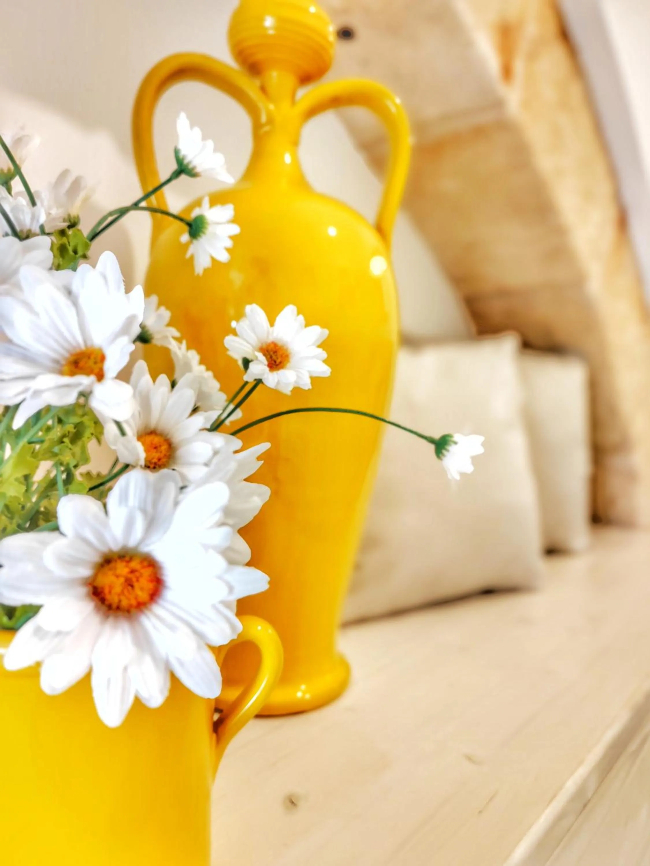 Carpe Diem B&B e Case Vacanza