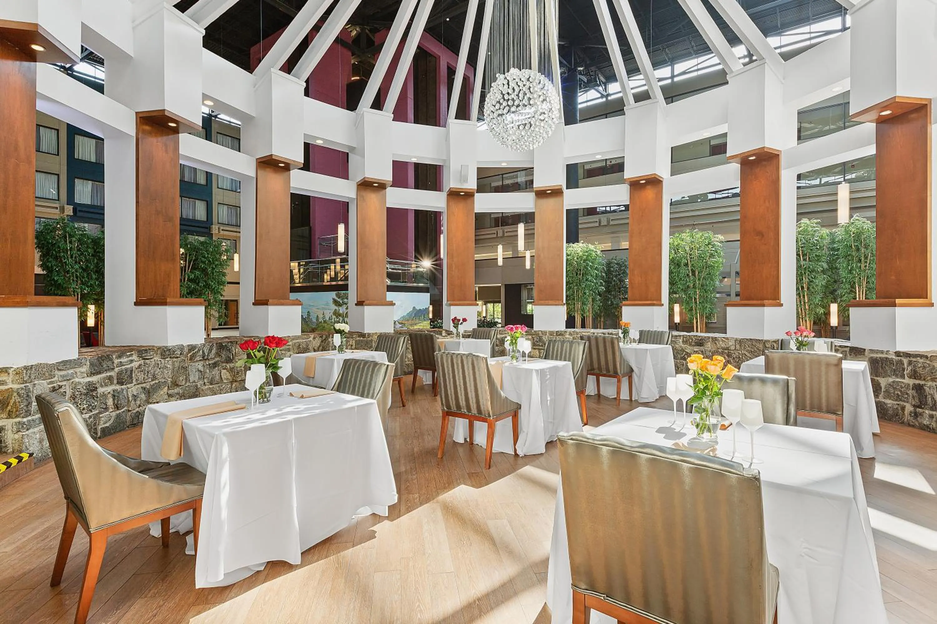 Restaurant/places to eat in The Armon Stamford Hotel & Conference Center