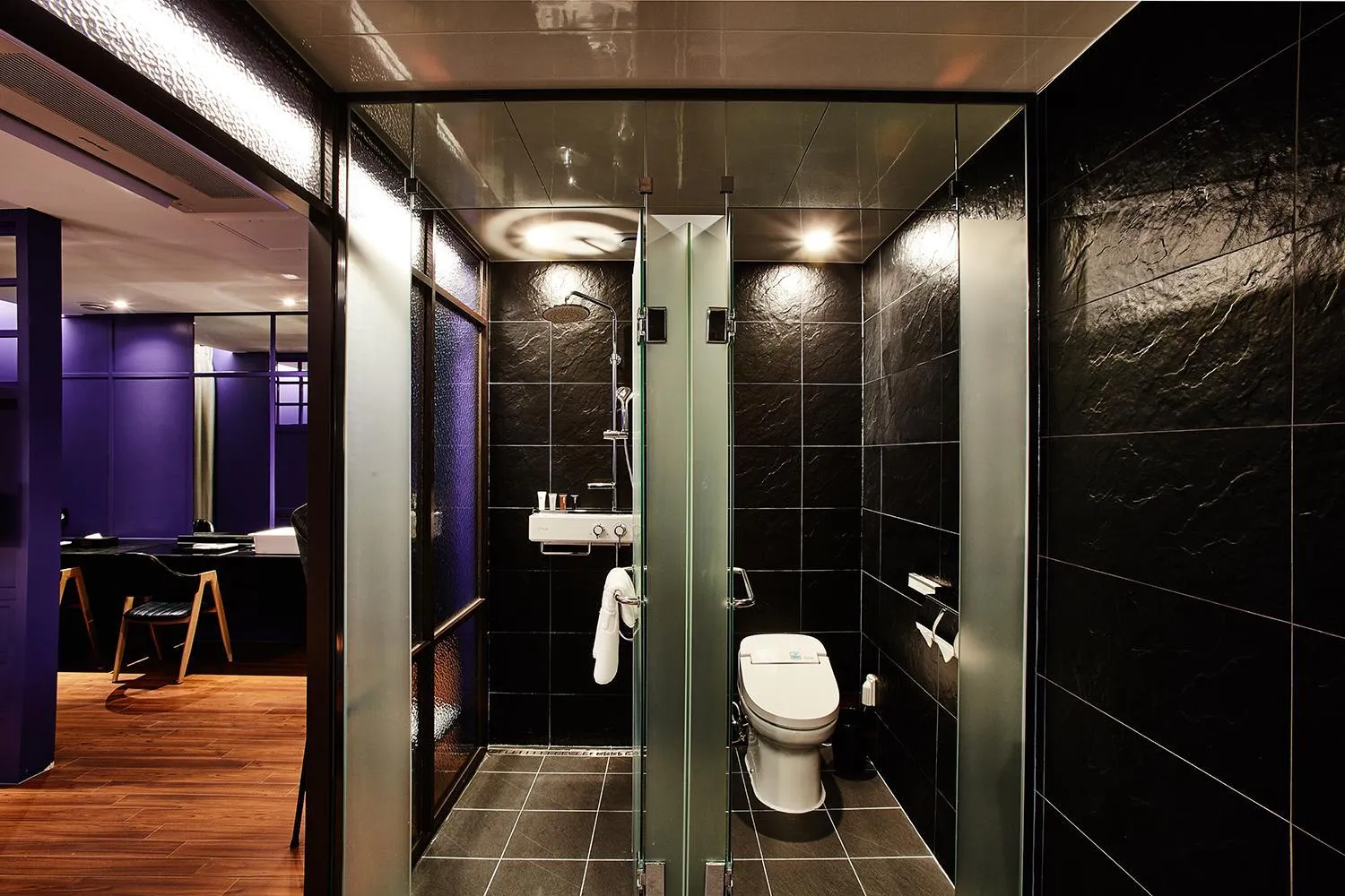 Toilet in Hotel Wanted