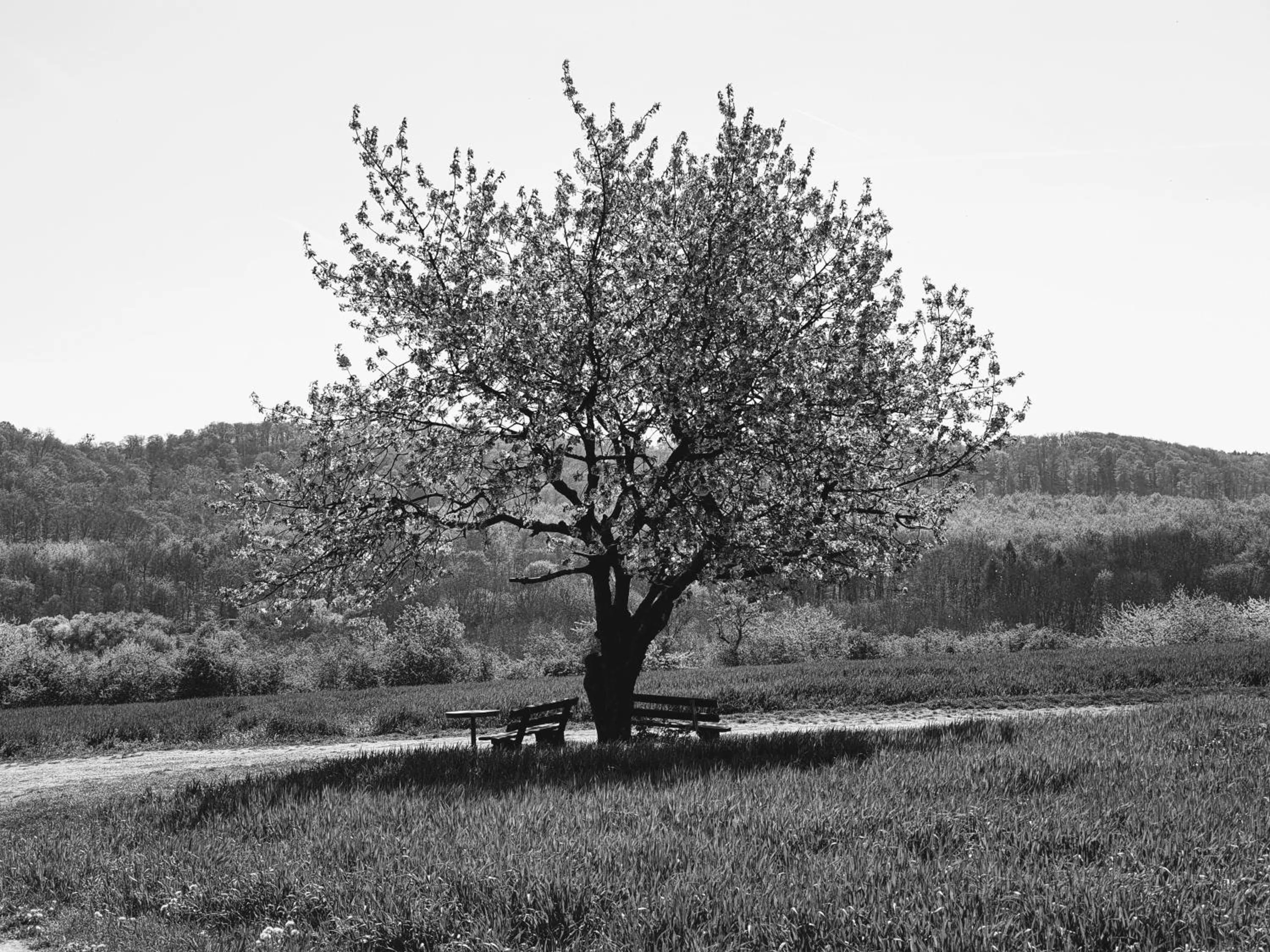 Natural landscape in Villa Bianca am Huy
