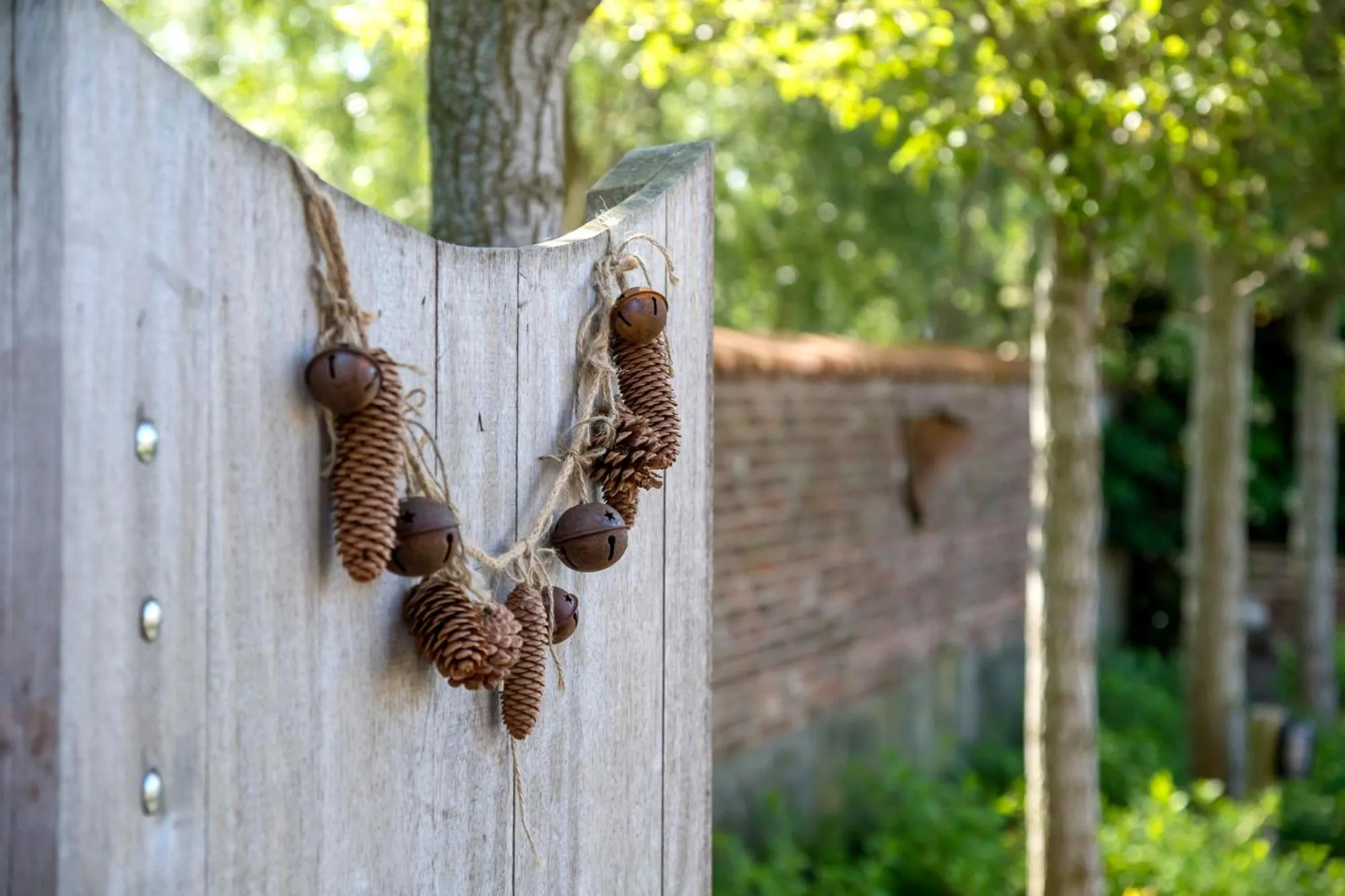 Day in B&B Het Soetewater