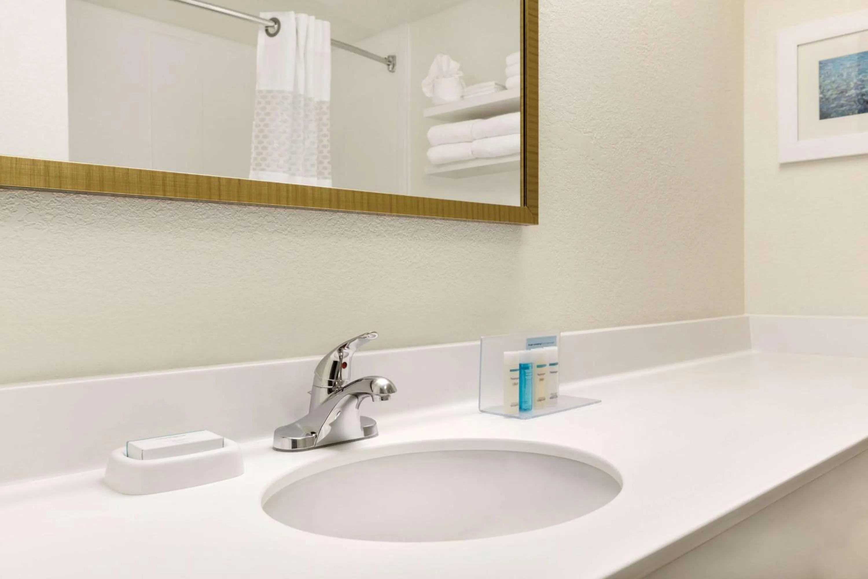 Bathroom in Hampton Inn & Suites Tarpon Springs