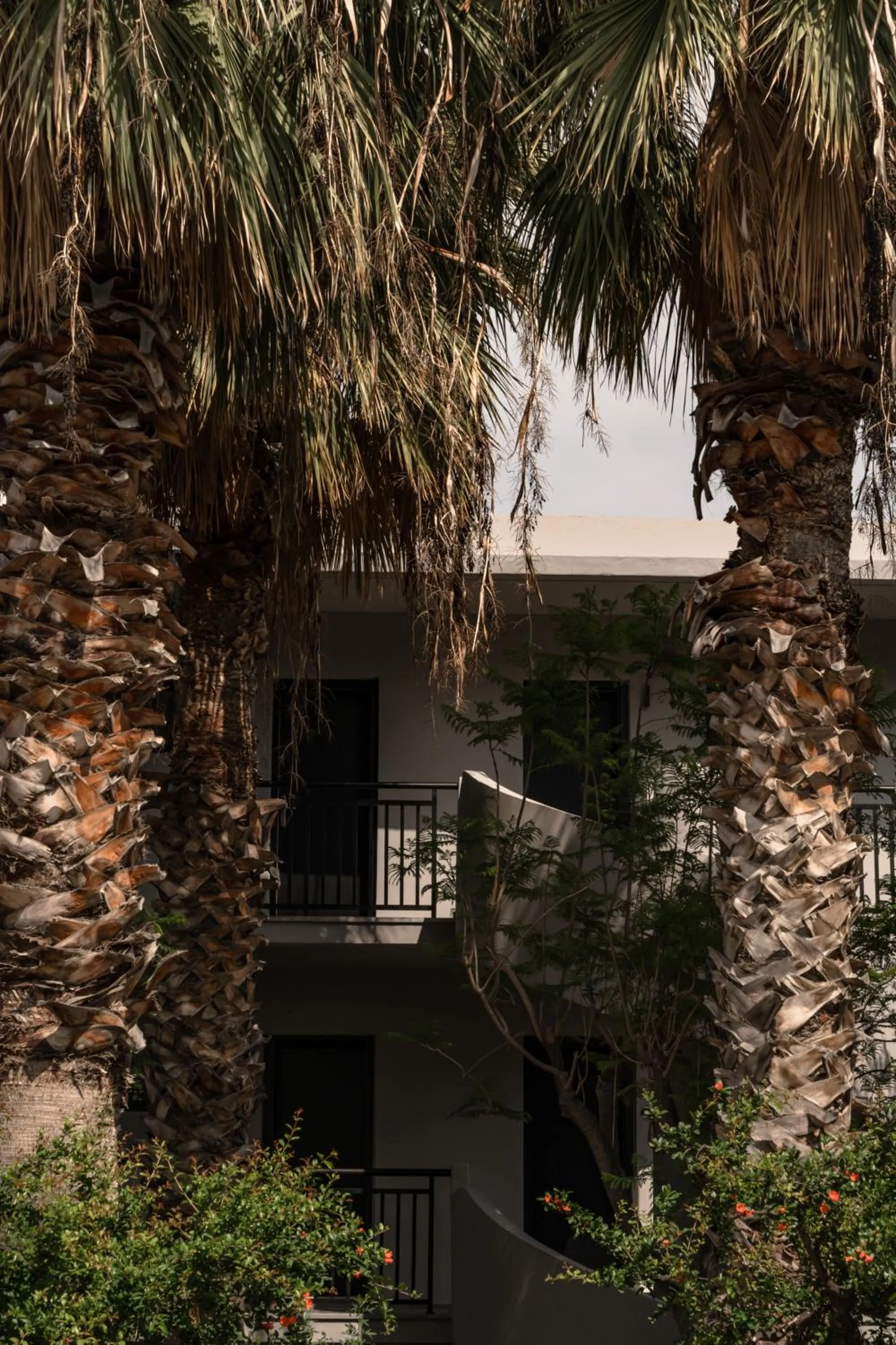 Property building in Cook's Club Kolymbia Rhodes -Adults only