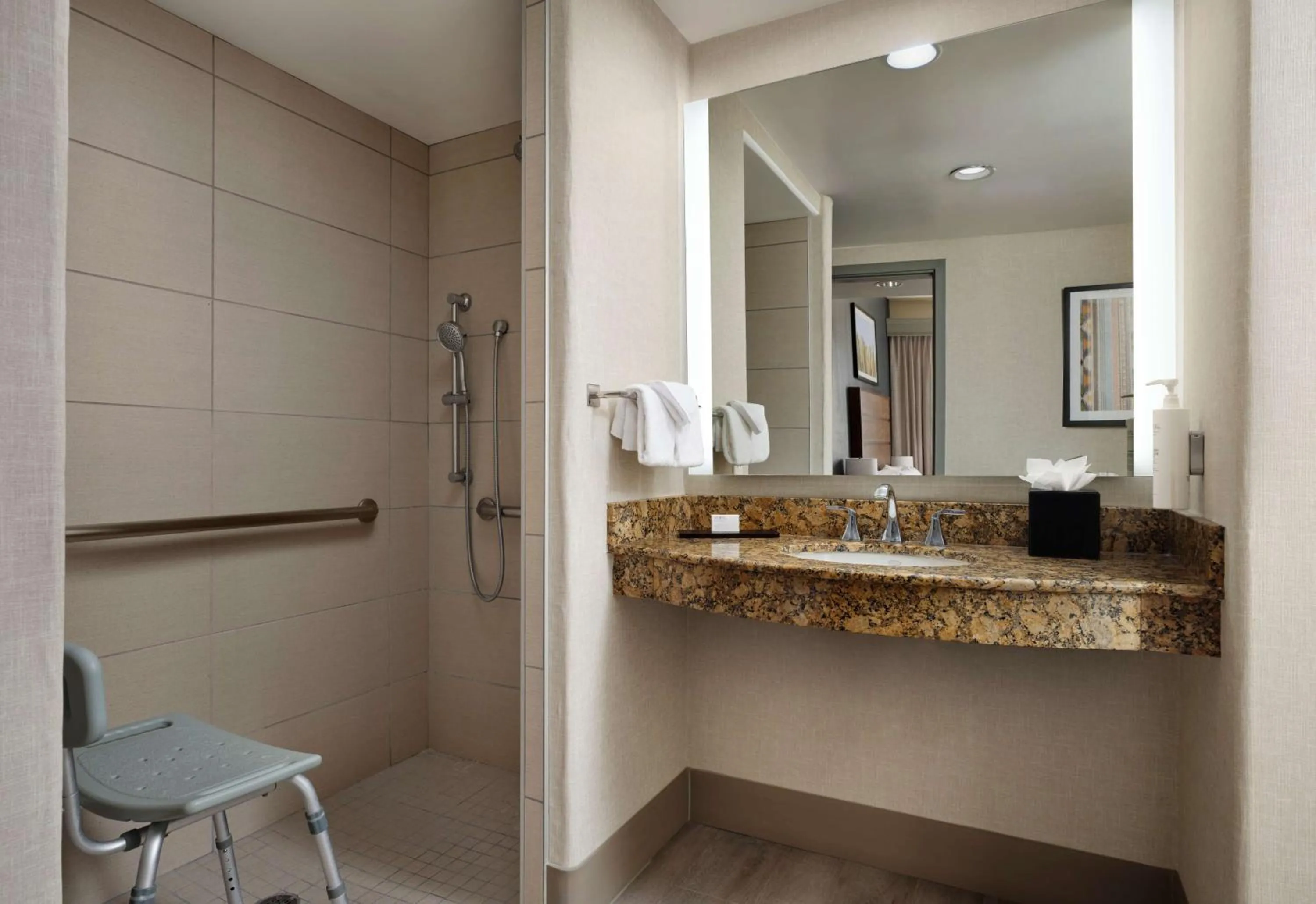 Bathroom in Embassy Suites Tucson - Paloma Village