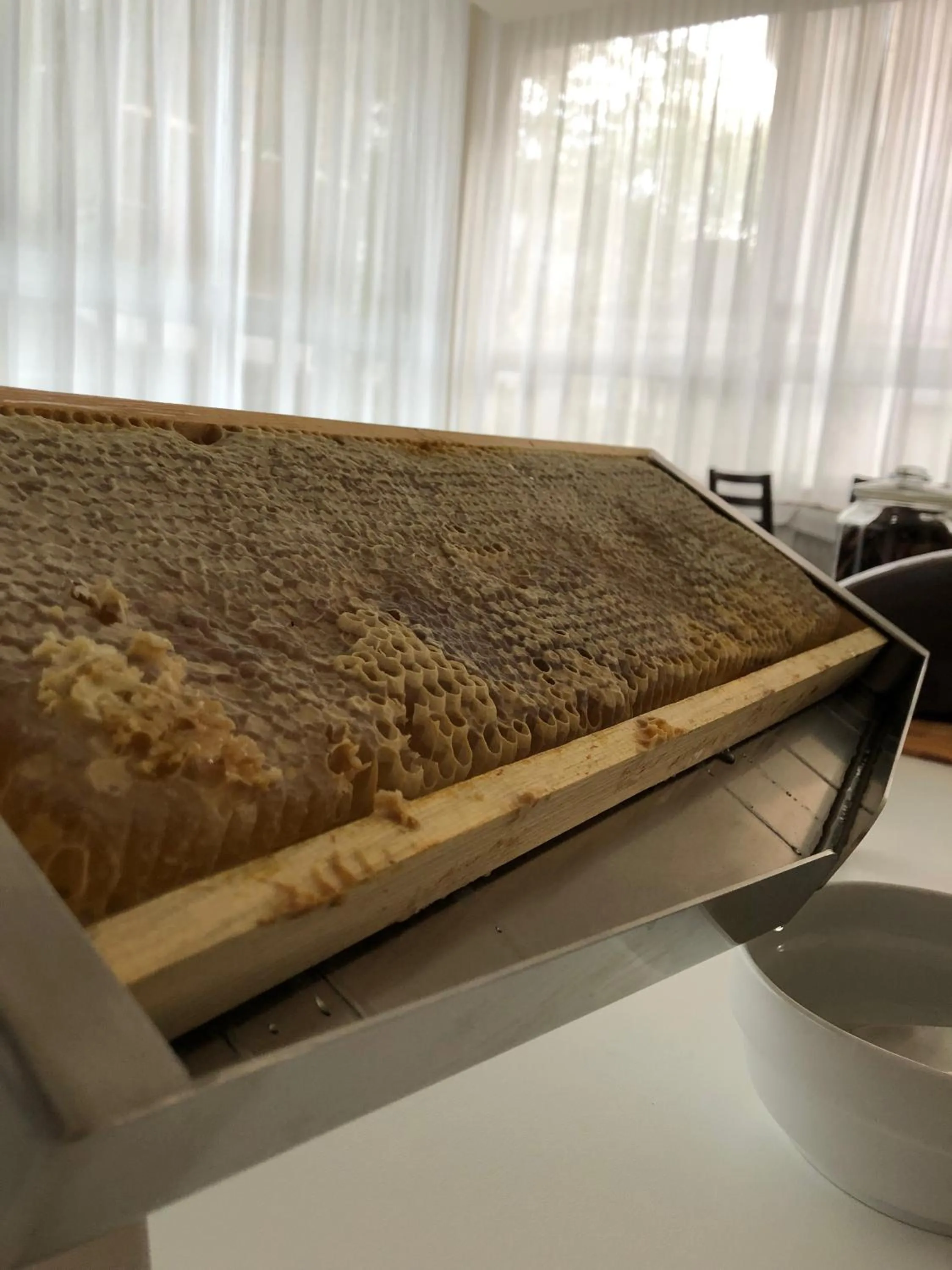 Breakfast in Hotel Little