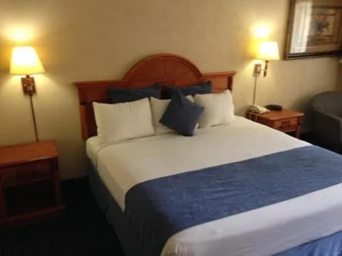 Bed in Downtowner Inn and Suites - Houston