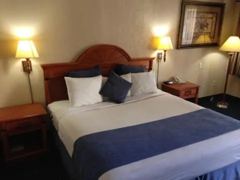 Bed in Downtowner Inn and Suites - Houston