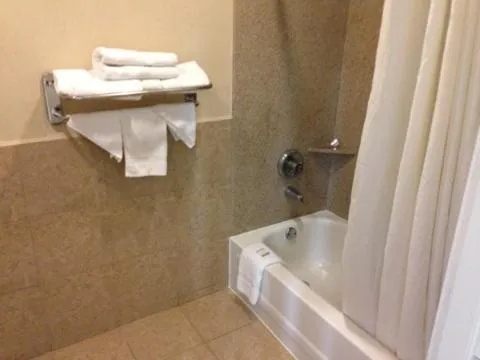 Bathroom in Downtowner Inn and Suites - Houston