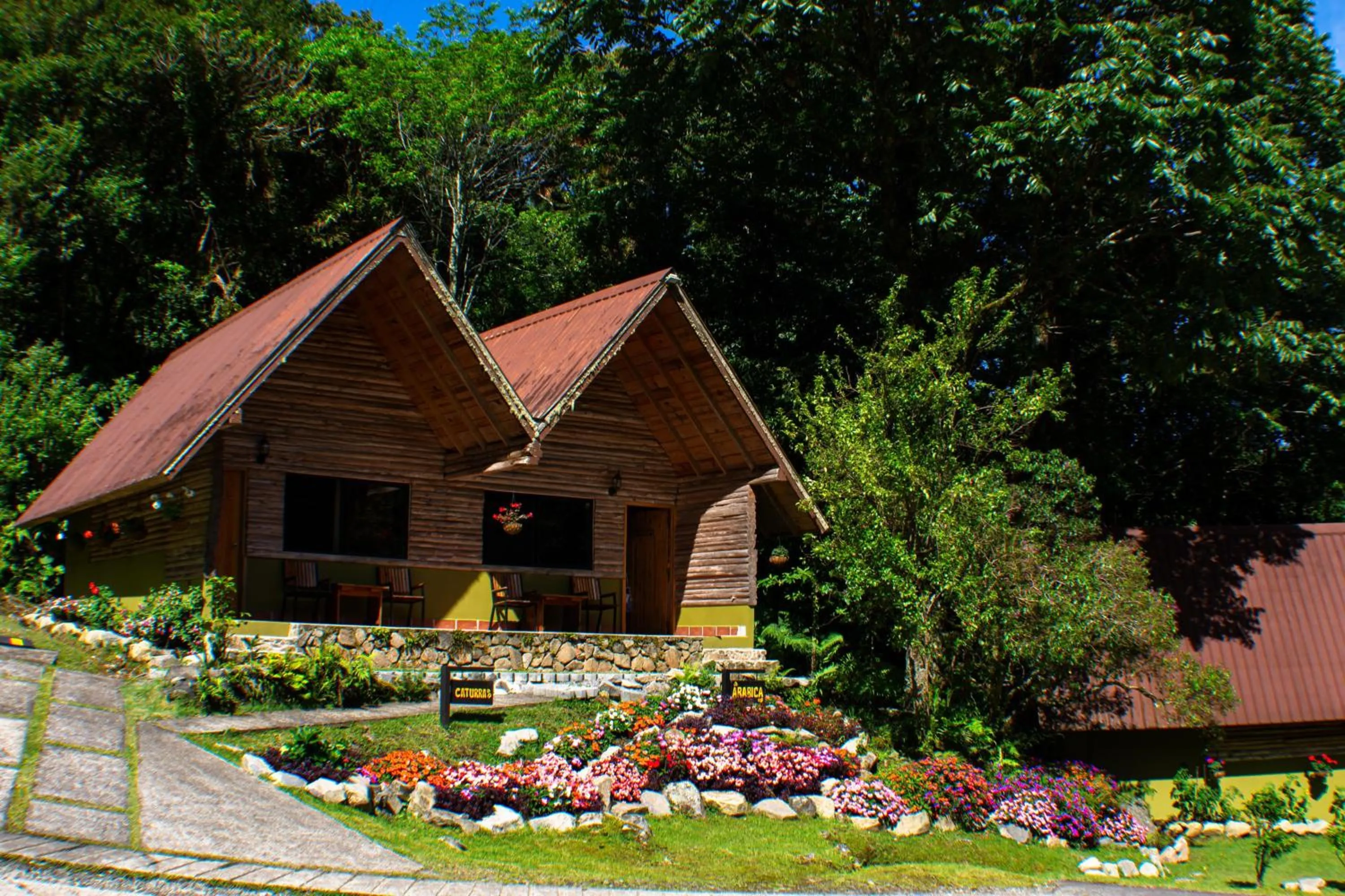 Property building in TREE TREK BOQUETE Adventure Park