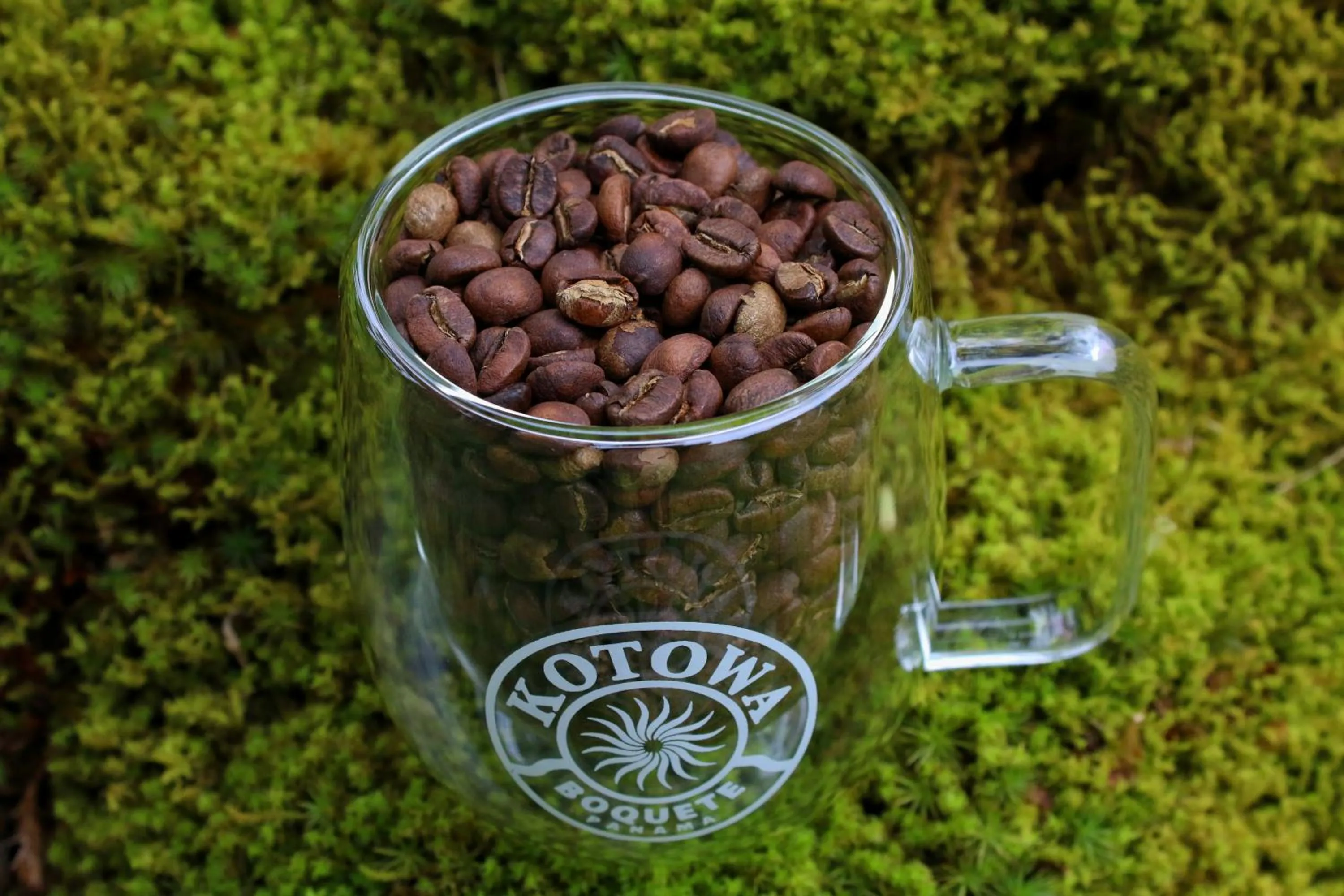 Coffee/tea facilities in TREE TREK BOQUETE Adventure Park