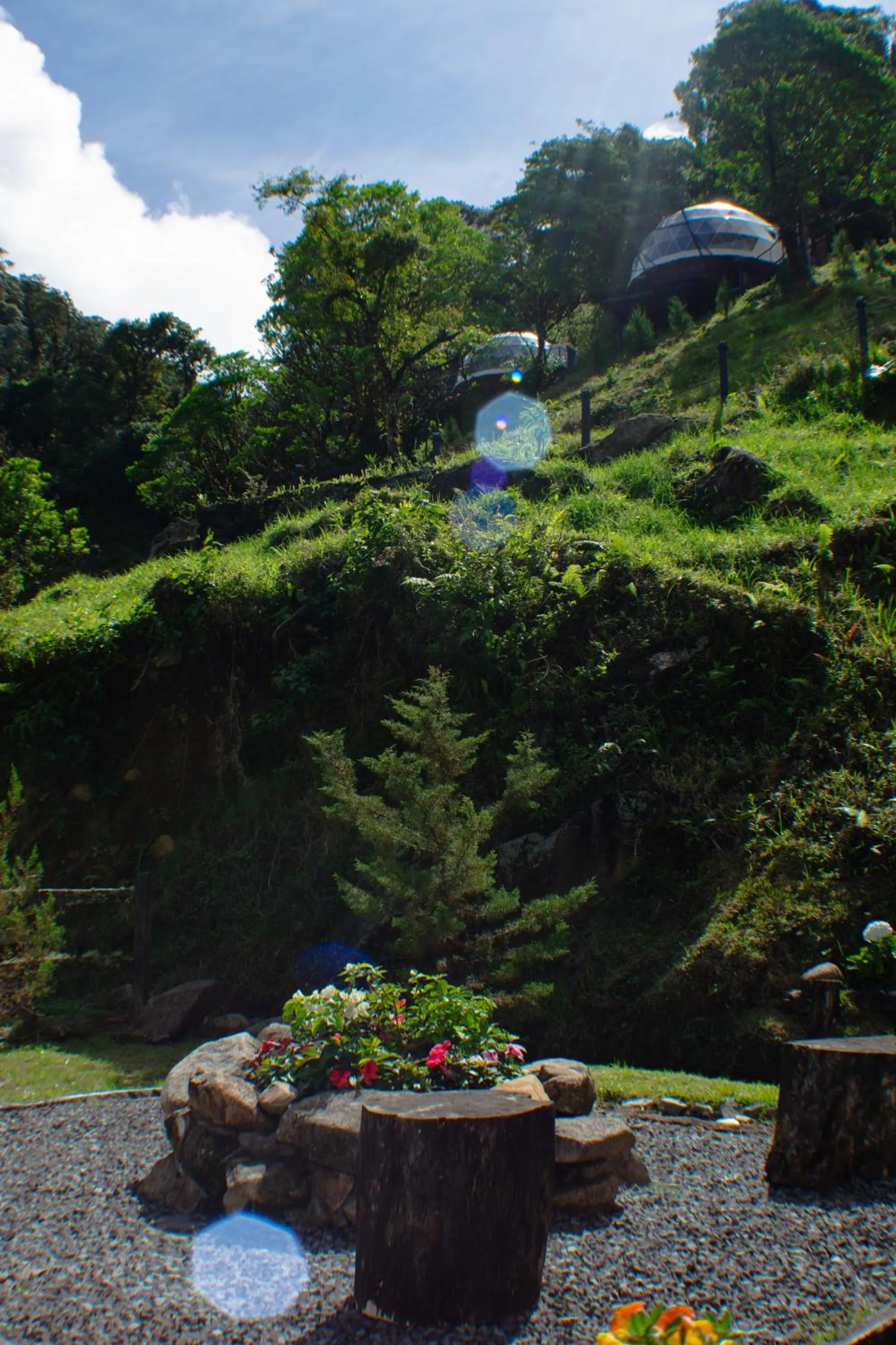 Balcony/Terrace in TREE TREK BOQUETE Adventure Park