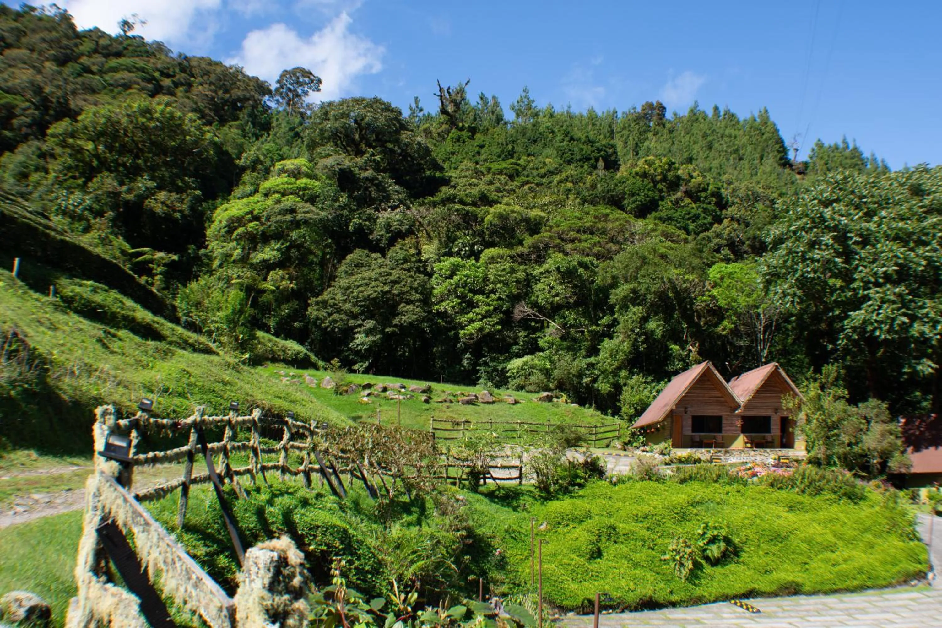 Property building in TREE TREK BOQUETE Adventure Park