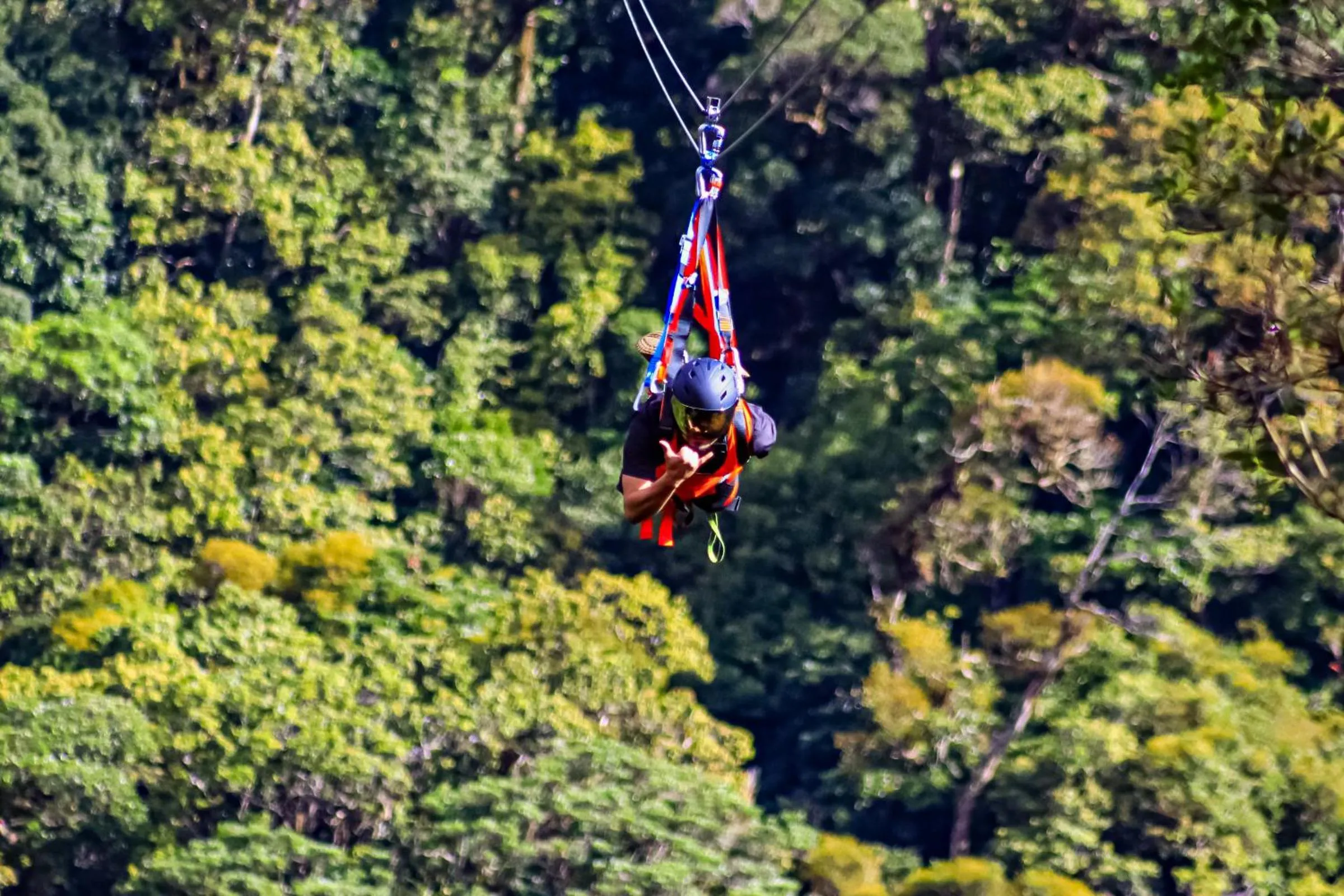 Activities in TREE TREK BOQUETE Adventure Park