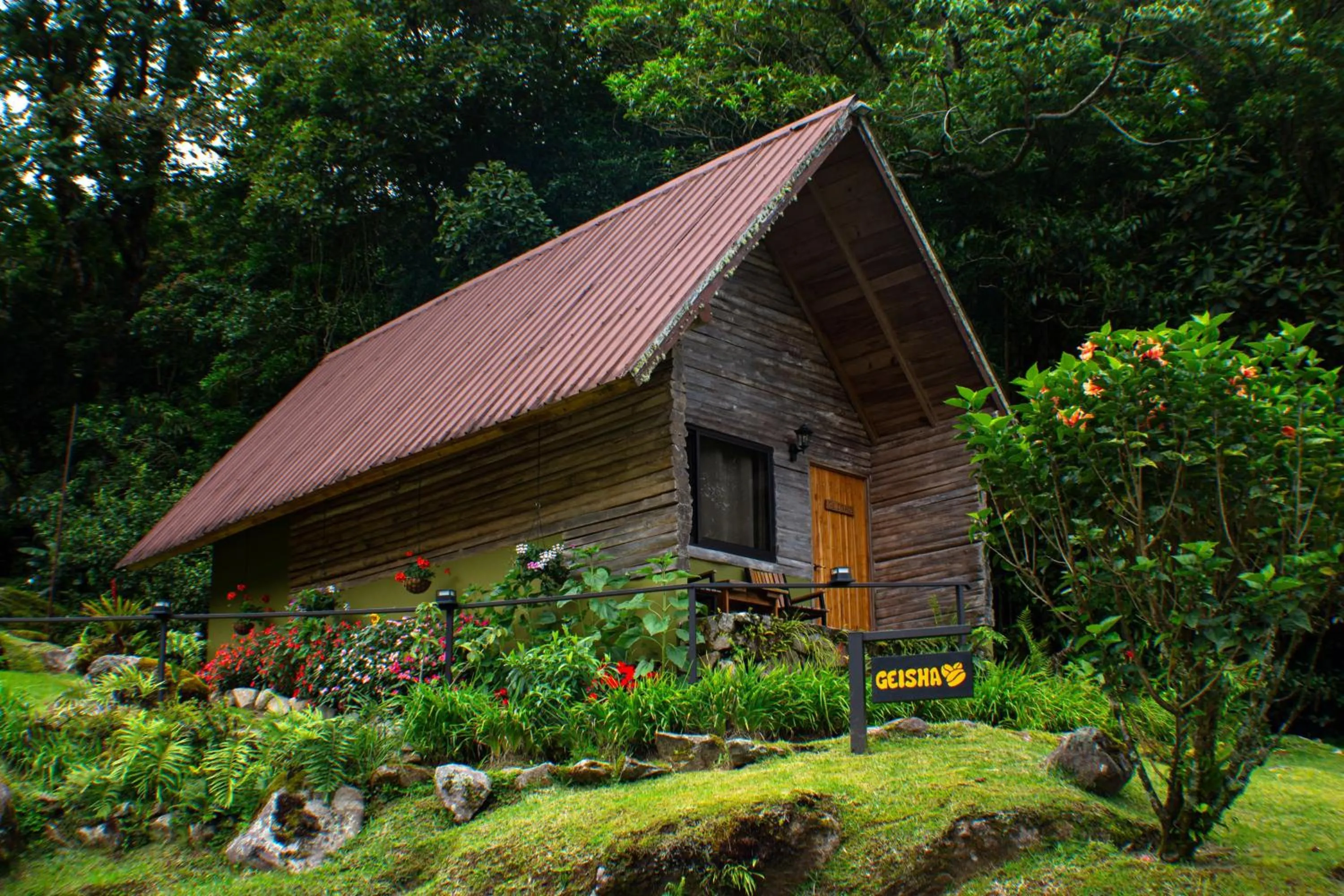 Property building in TREE TREK BOQUETE Adventure Park