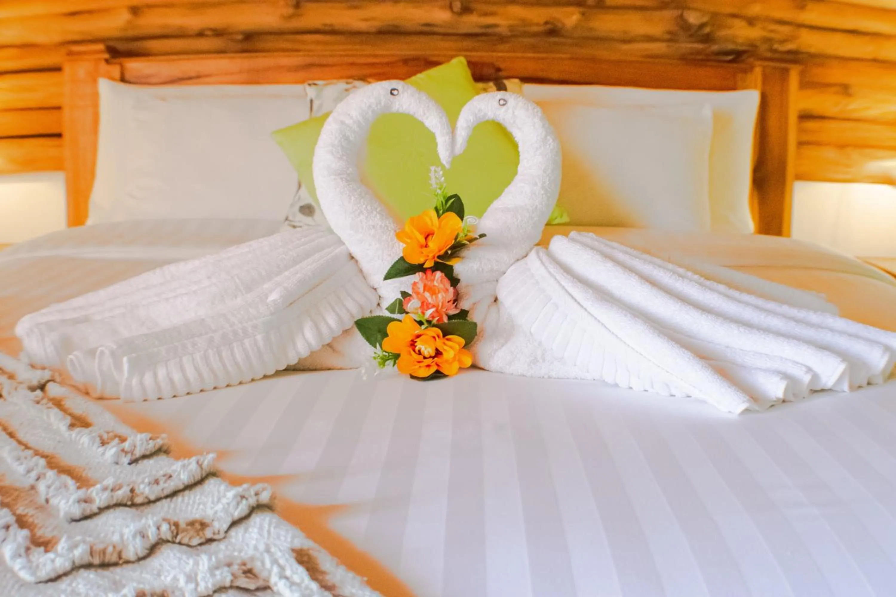 Property building, Bed in TREE TREK BOQUETE Adventure Park