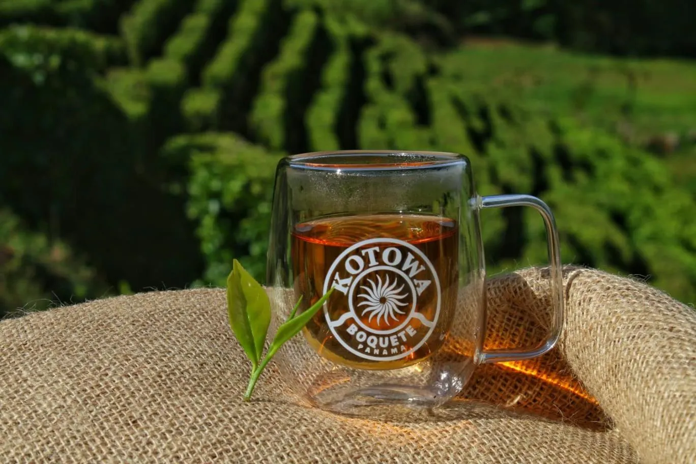Coffee/tea facilities in TREE TREK BOQUETE Adventure Park