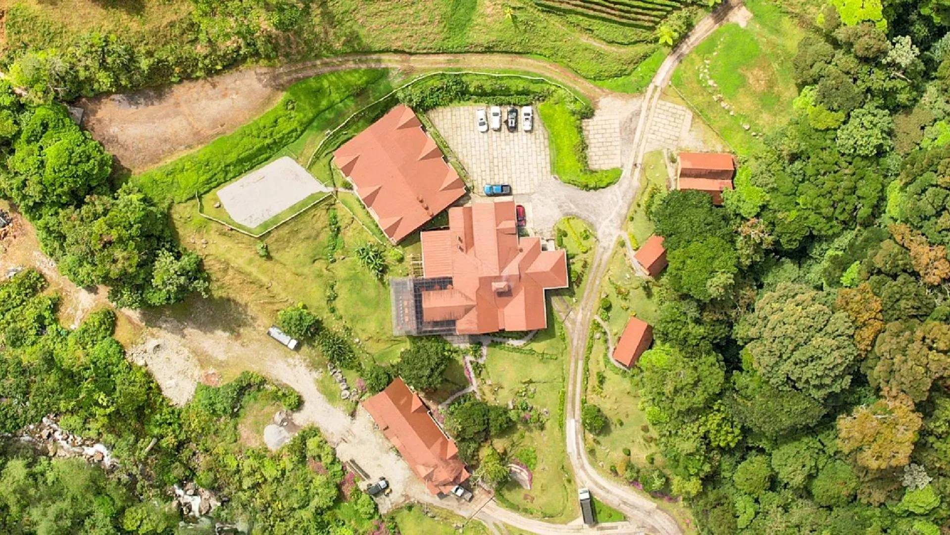 Bird's eye view in TREE TREK BOQUETE Adventure Park