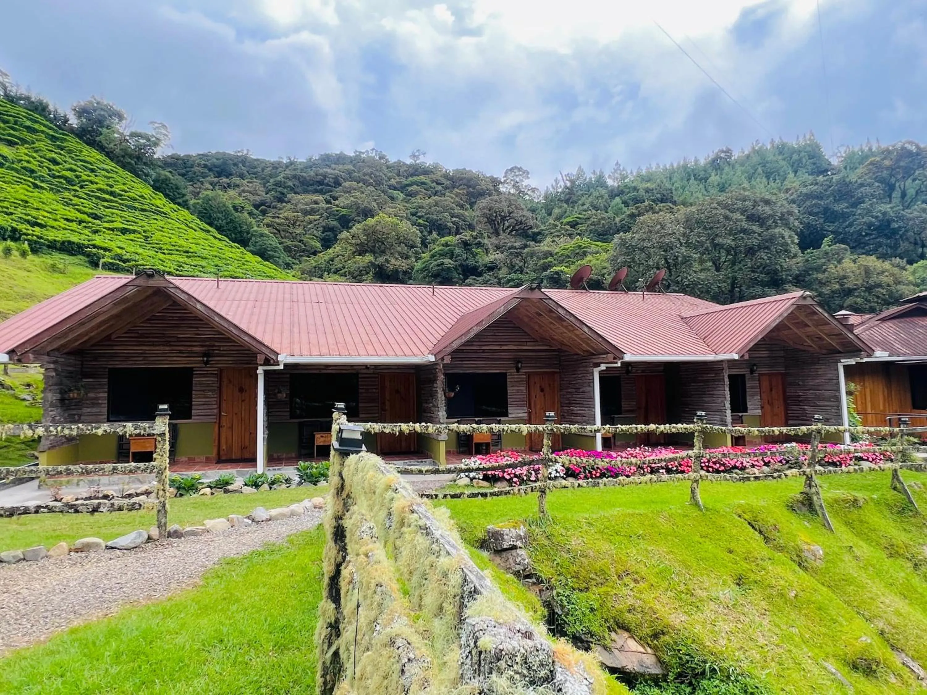 Property building in TREE TREK BOQUETE Adventure Park