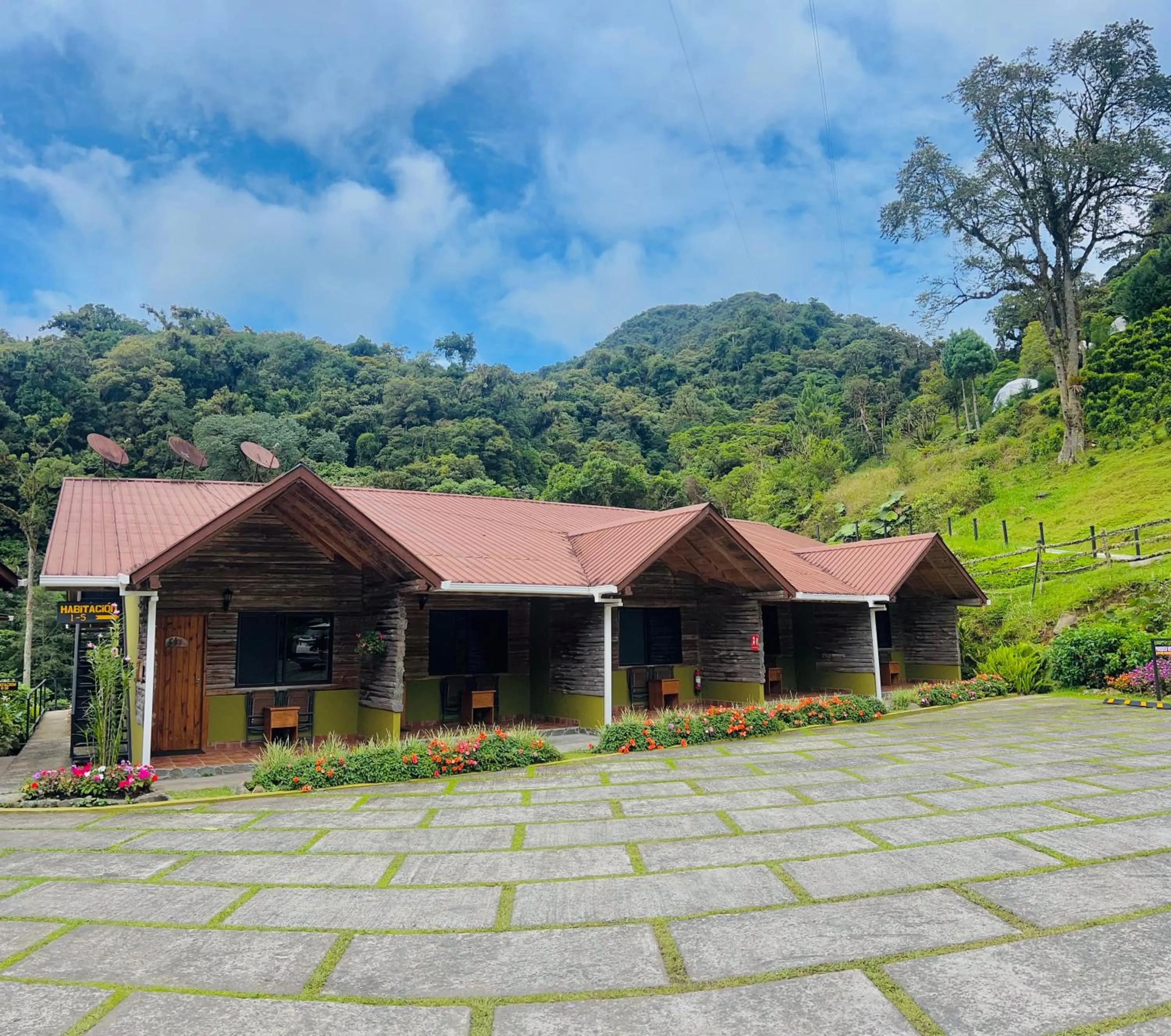 Property building in TREE TREK BOQUETE Adventure Park