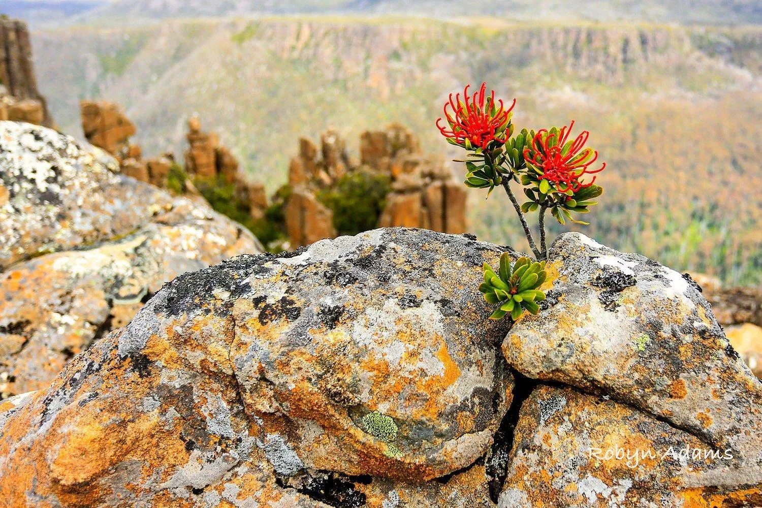 Hiking in The Empire Hotel Deloraine