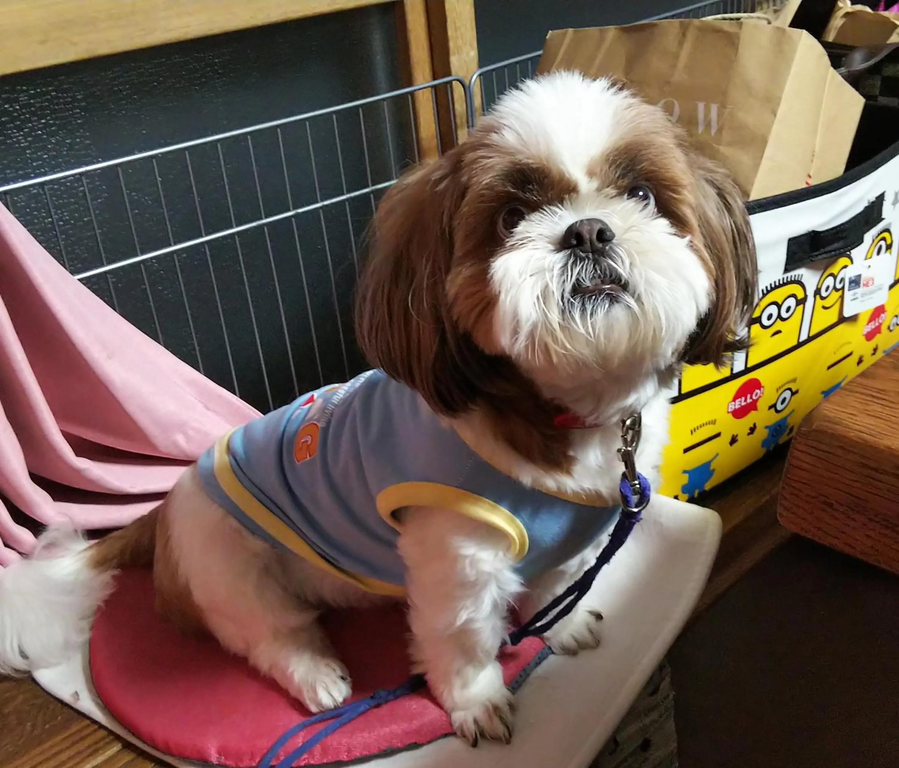 Minshuku Kaikazari Kunnui