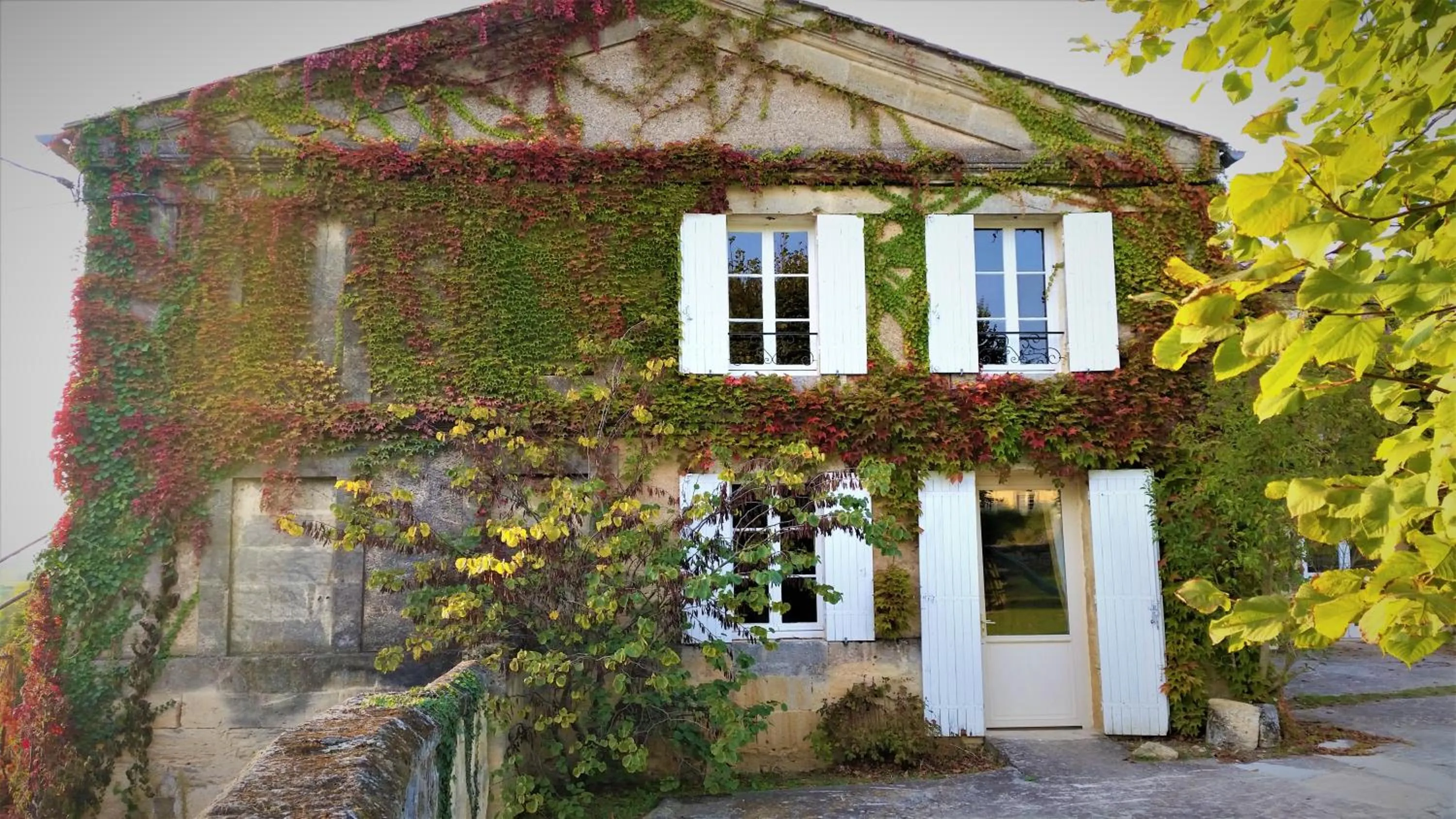 Demeures & Château - Fleur de Roques - Puisseguin Saint Emilion
