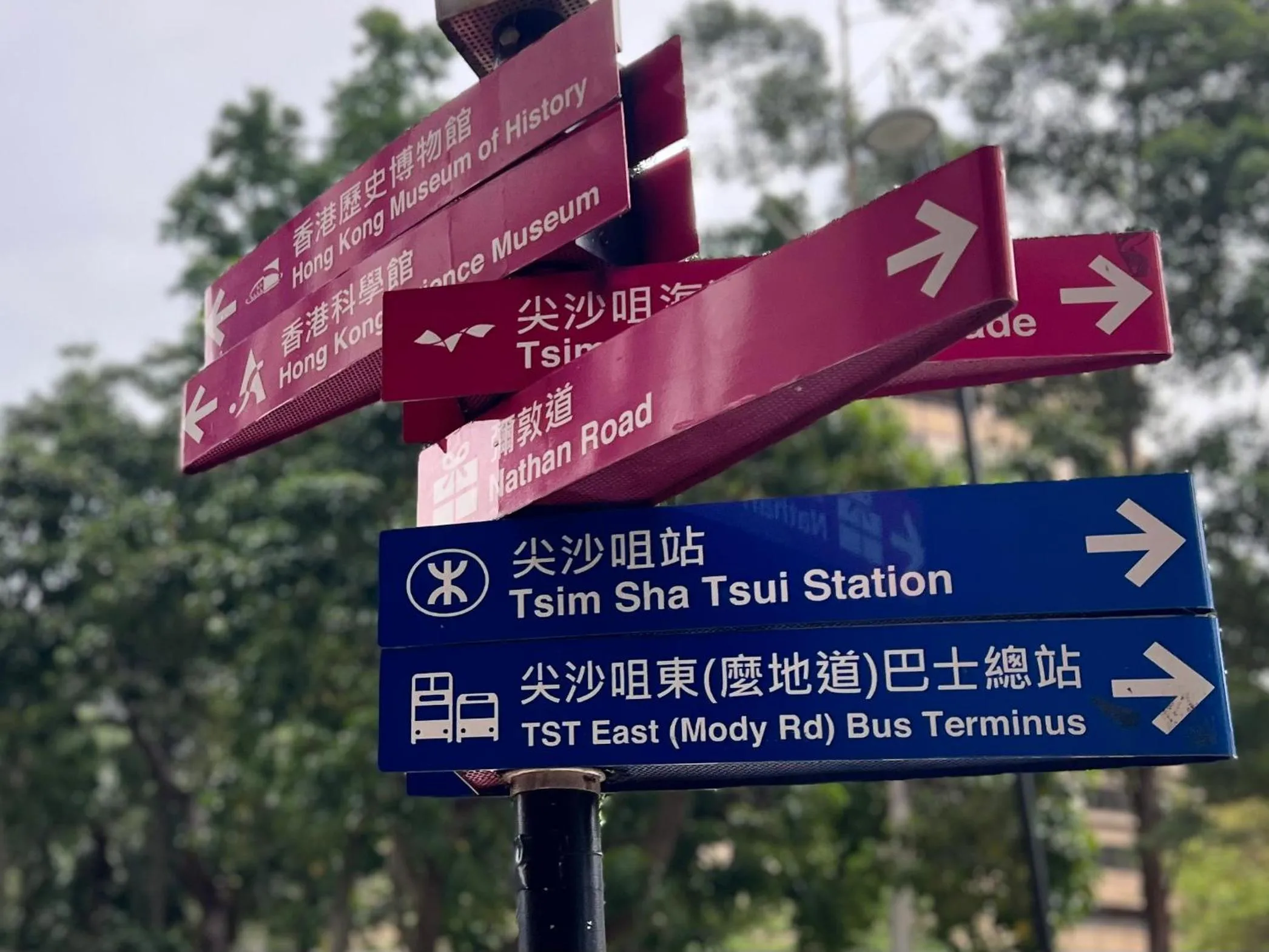 Street view in AMU Dreamhouse 阿木旅舍