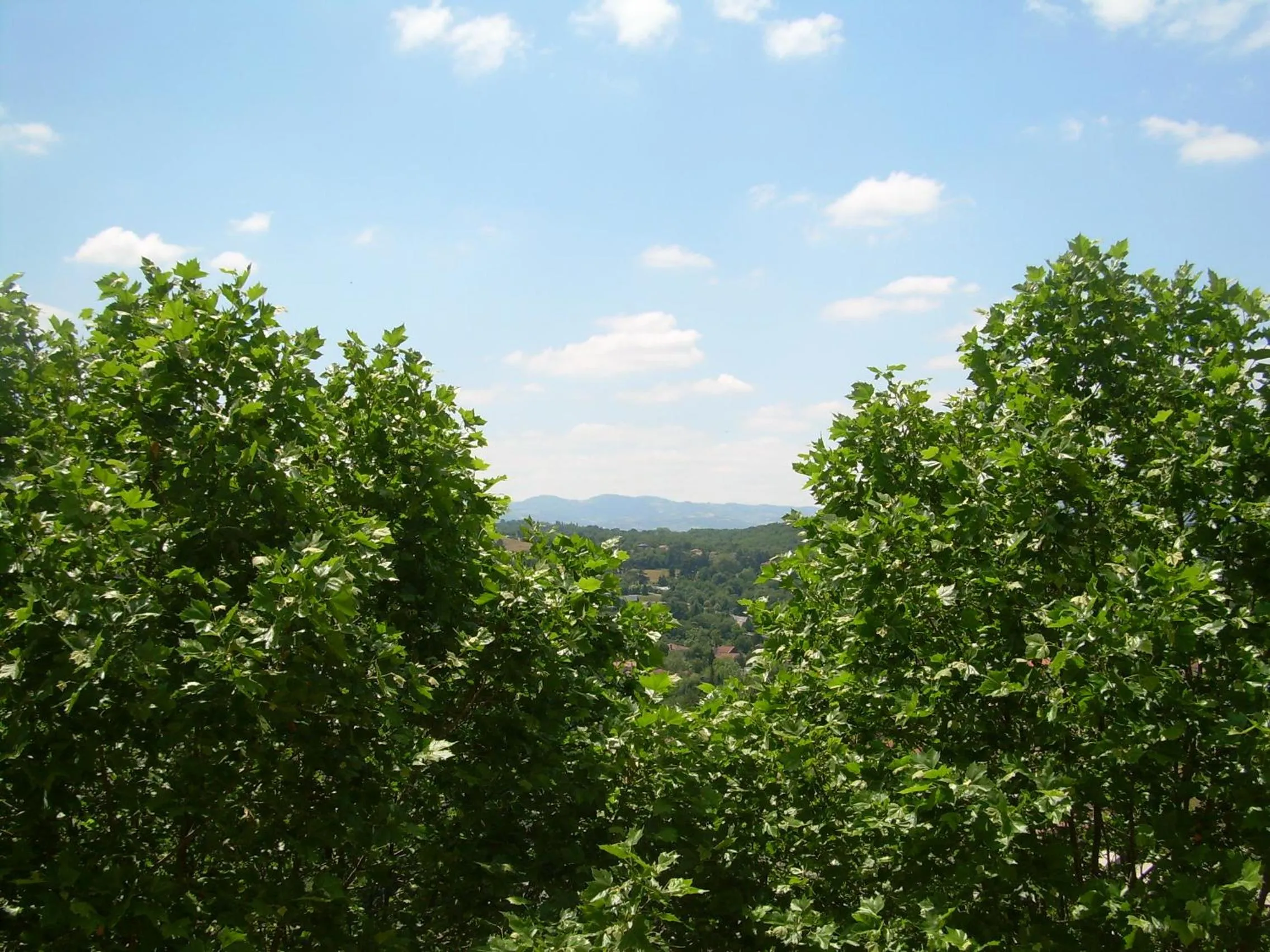 Neighbourhood in Domaine Lyon Saint Joseph