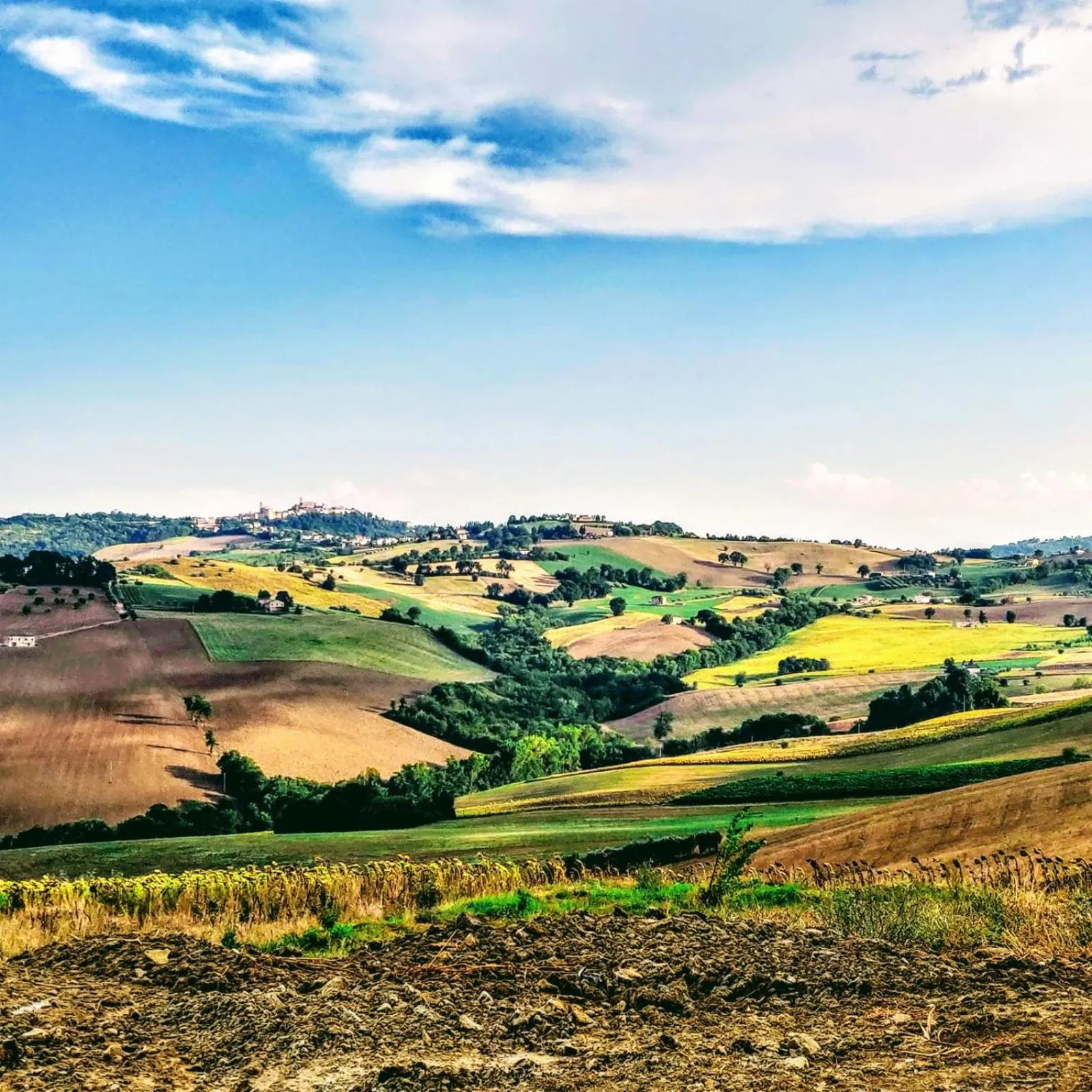 On site in Villa Angela Country House