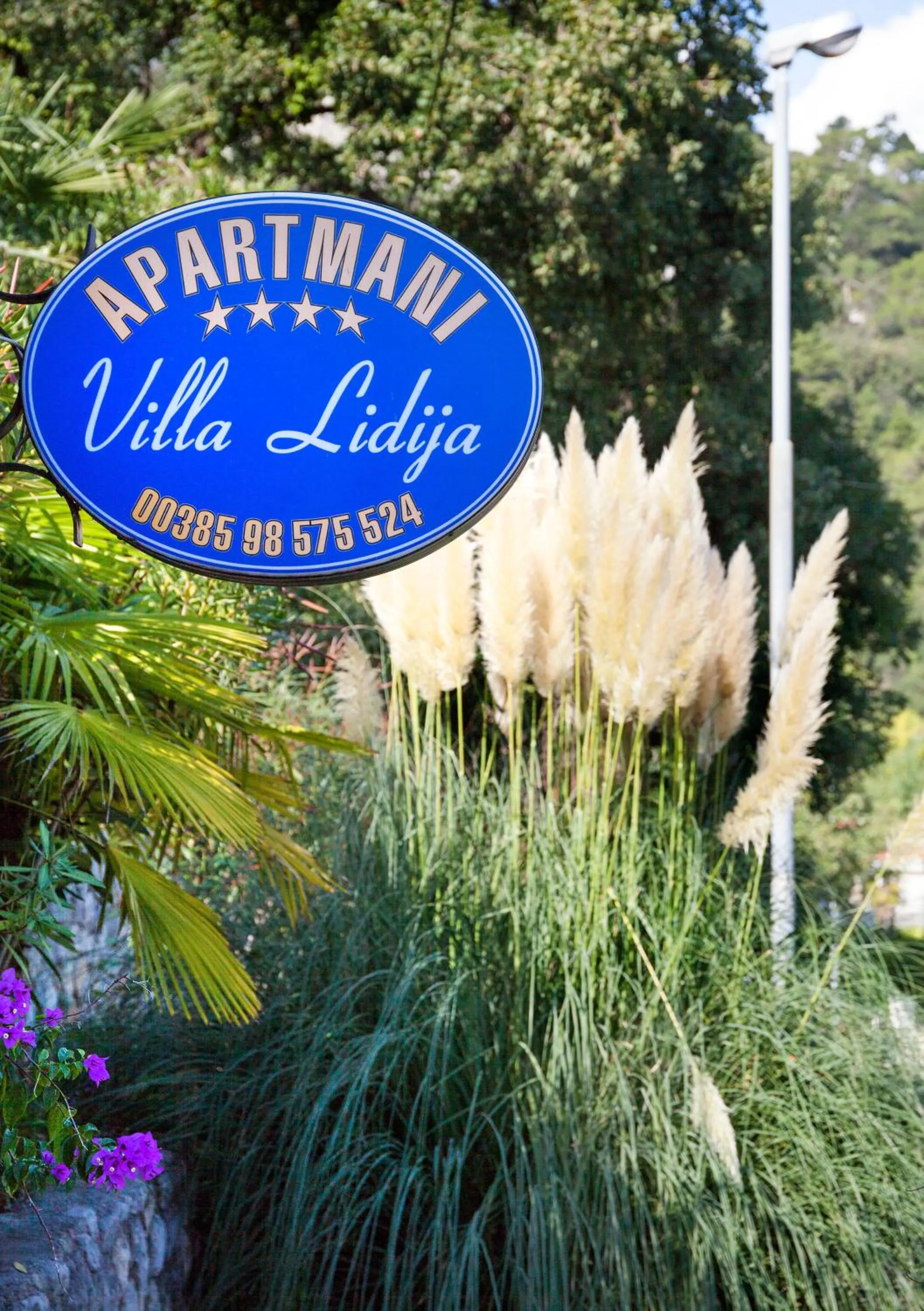 Apartment Villa Lidija