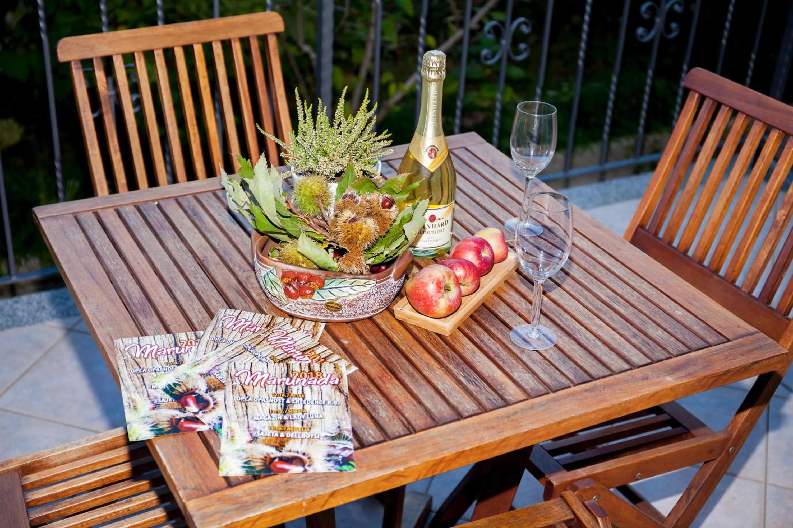 Balcony/Terrace in Apartment Villa Lidija