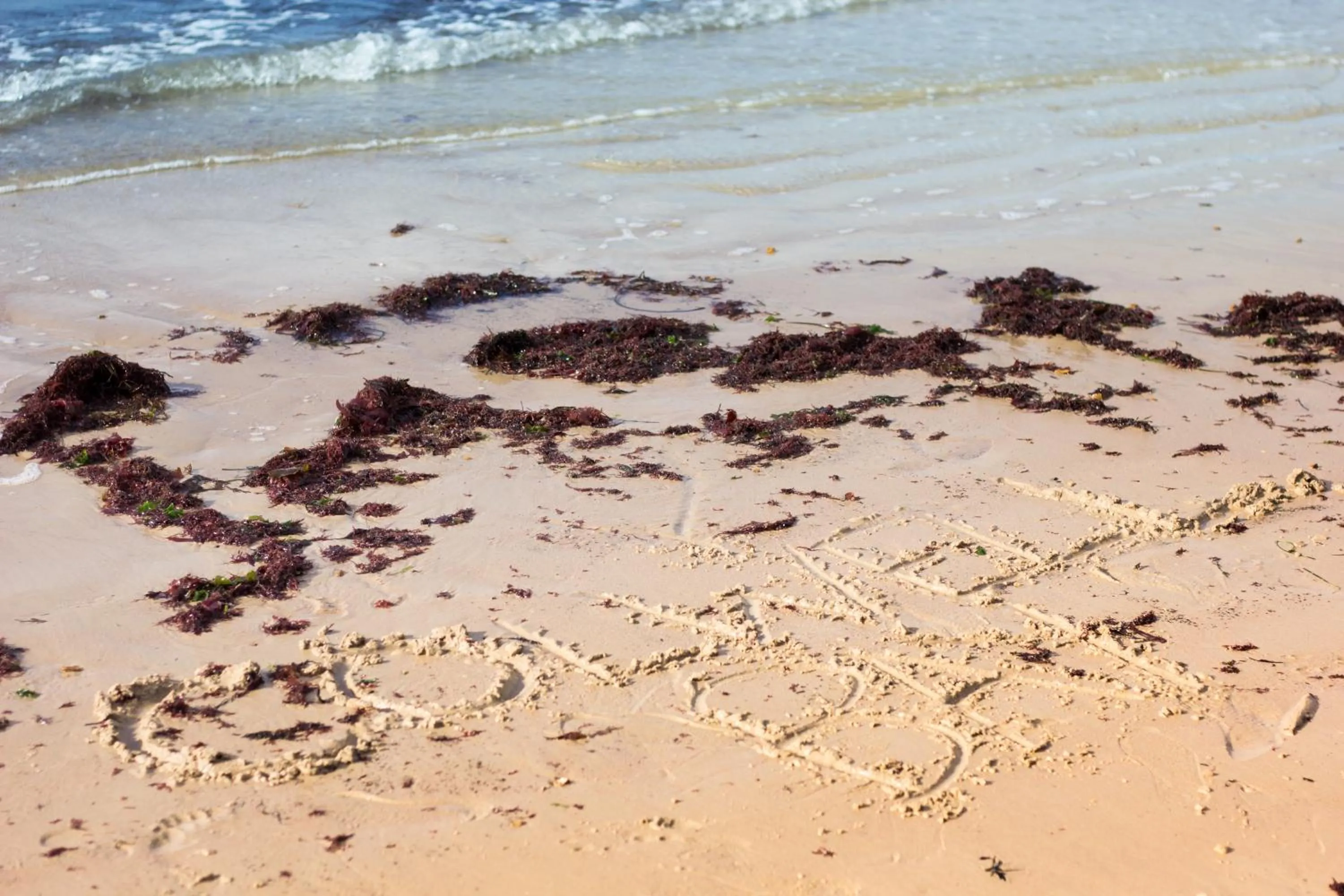 Beach in The Bay Colwell