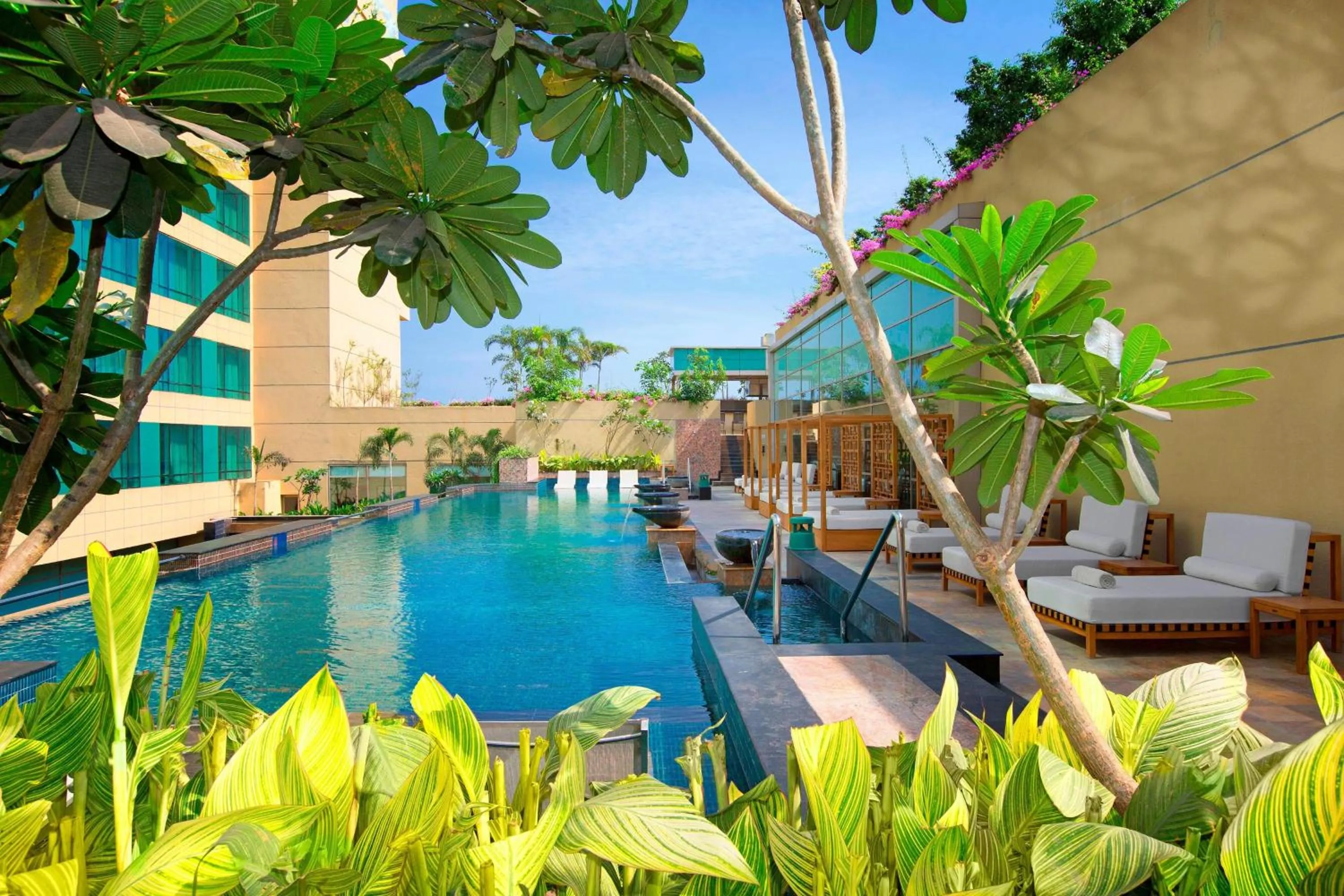 Swimming pool in The Westin Chennai Velachery