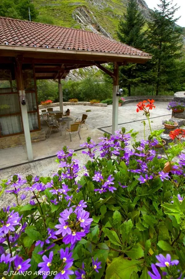 Property building in La Casona de Mestas