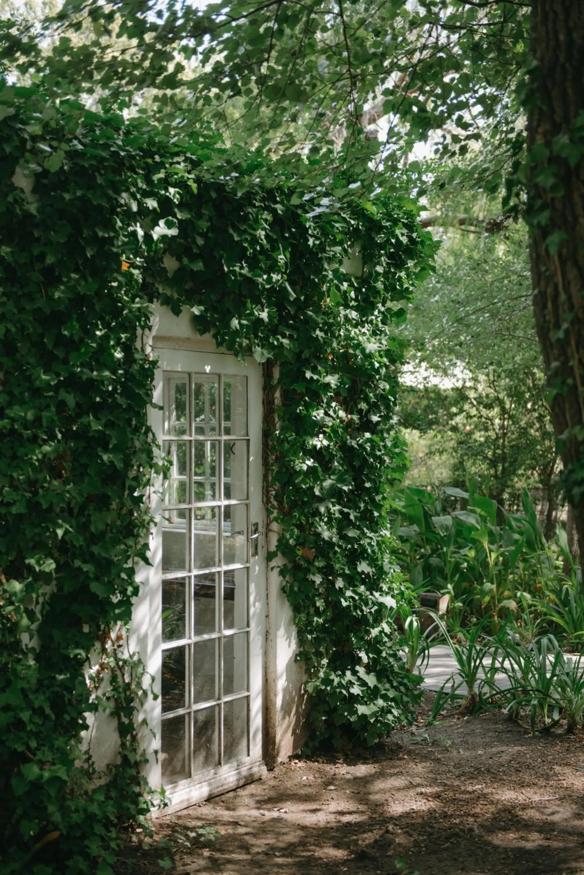 Garden in La Paris Estate