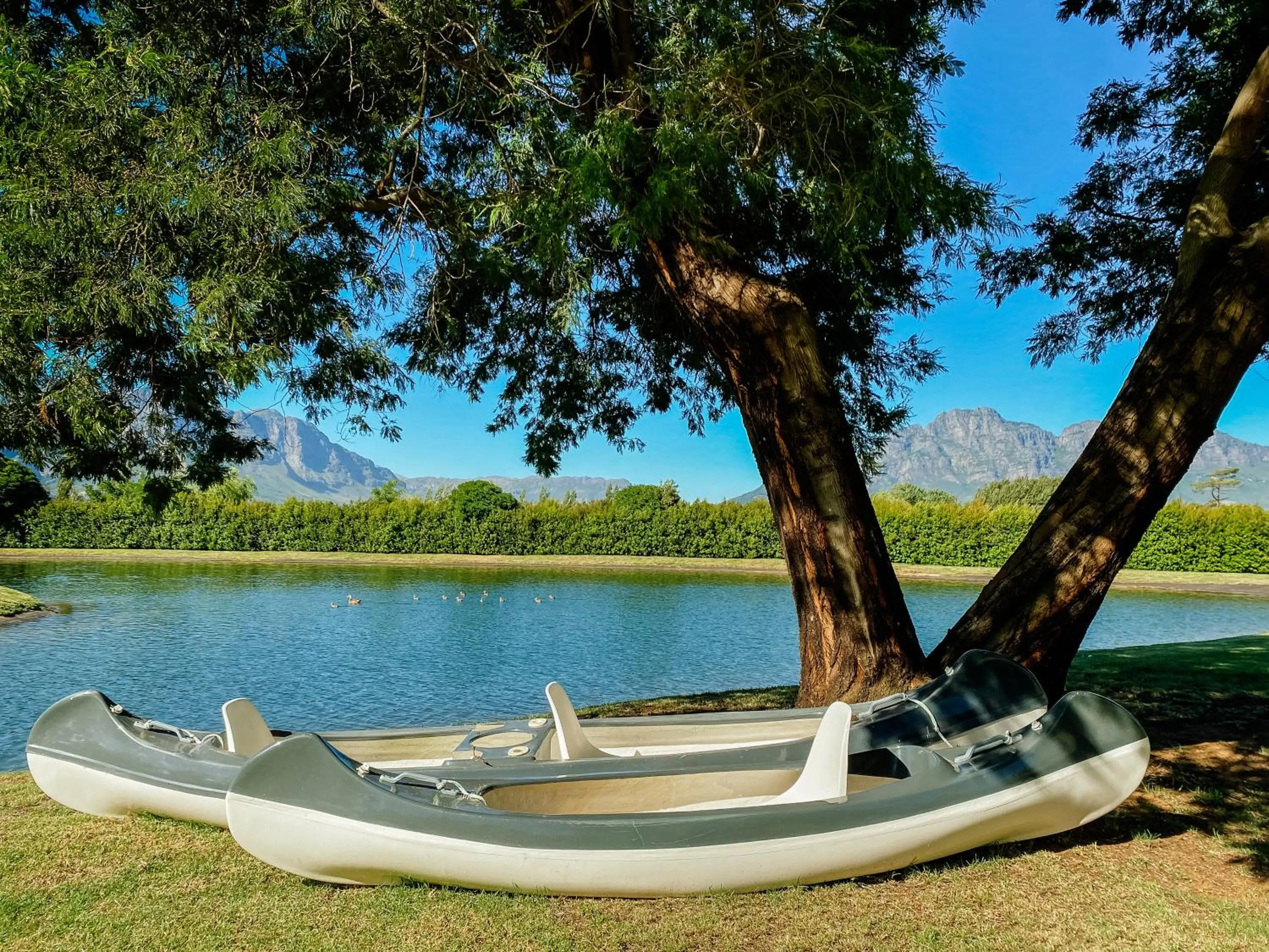 View (from property/room) in La Paris Estate