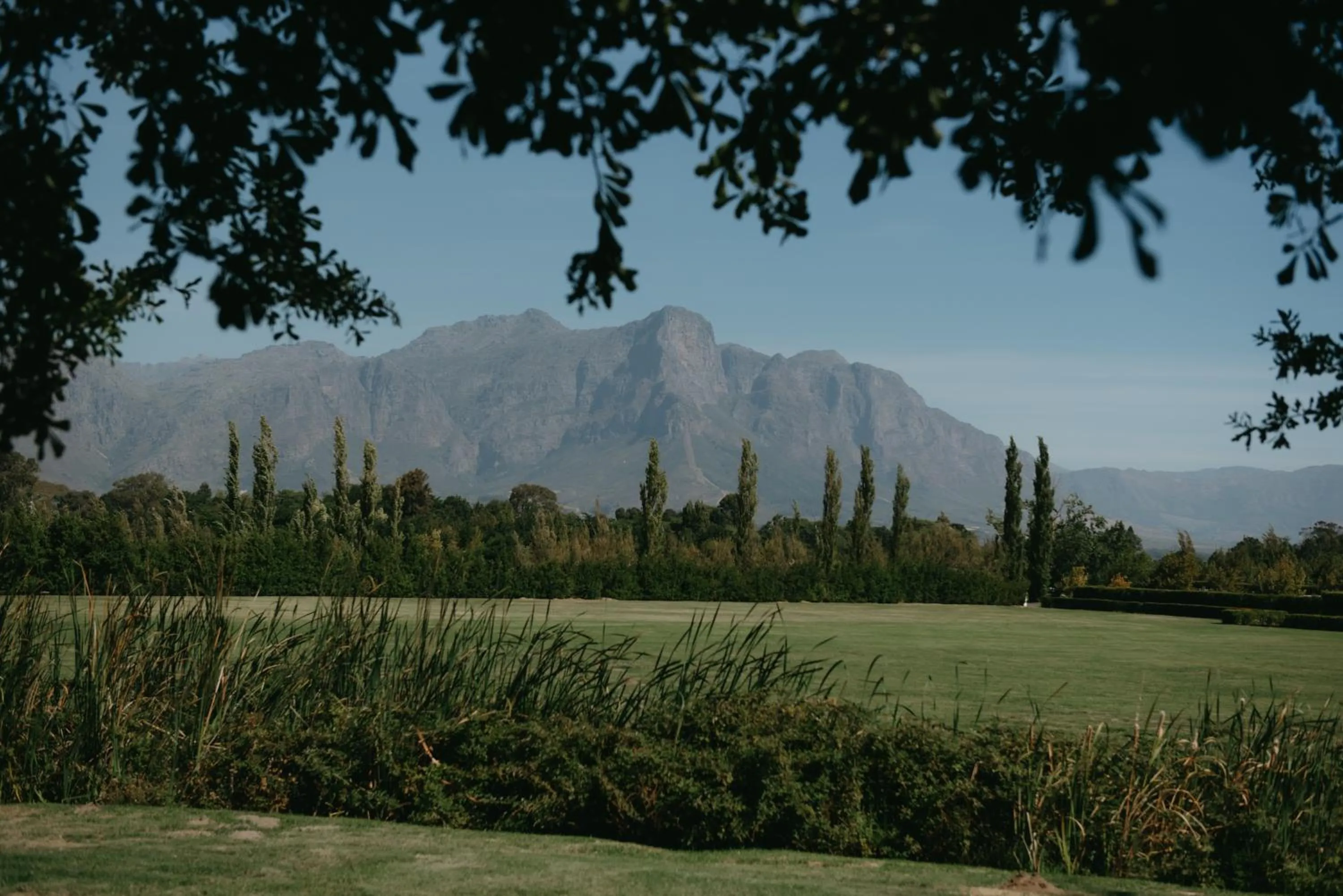 Garden in La Paris Estate