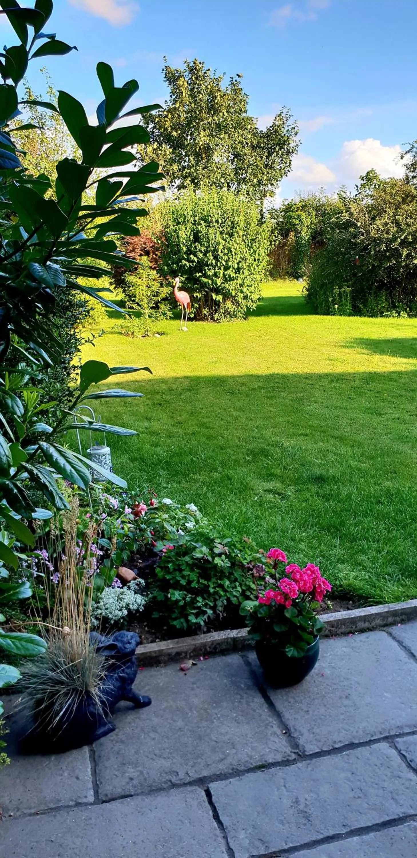 Natural landscape in The Vine B & B