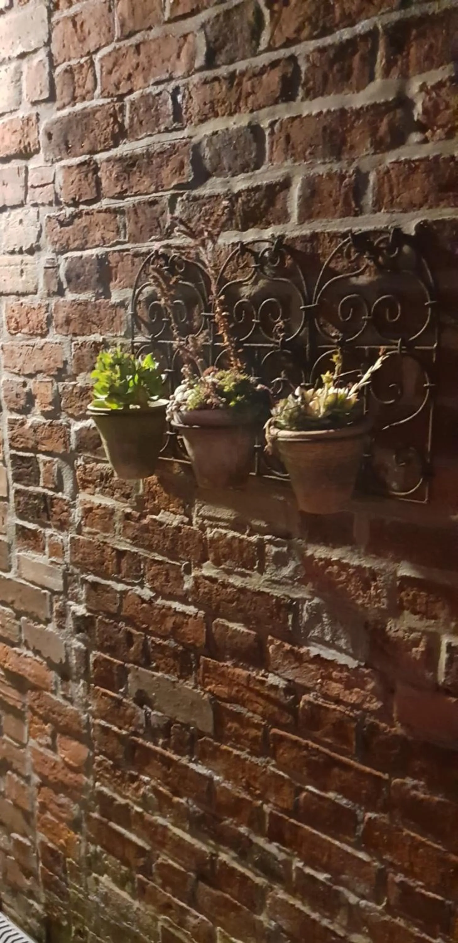 Property building in The Vine B & B