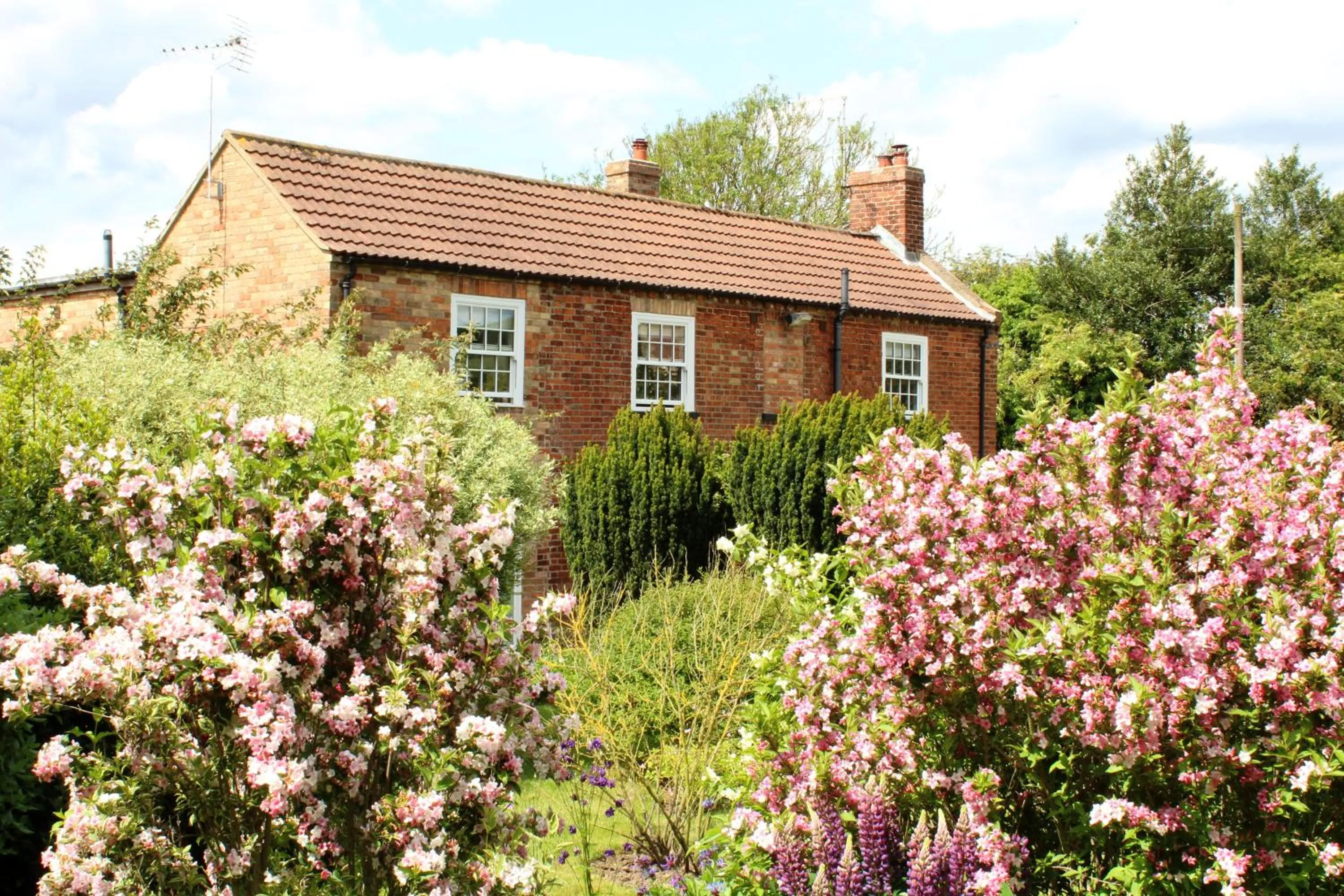 Property building in The Vine B & B